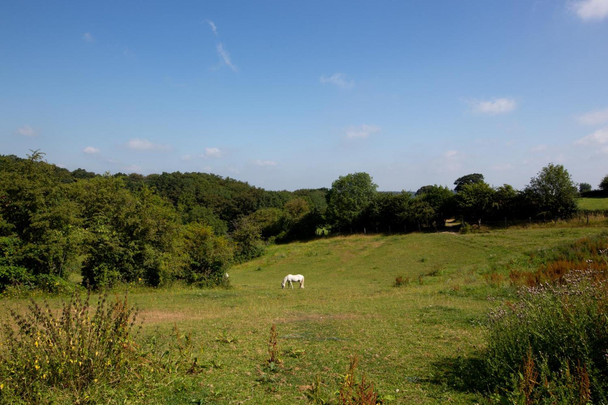 le pré du poney