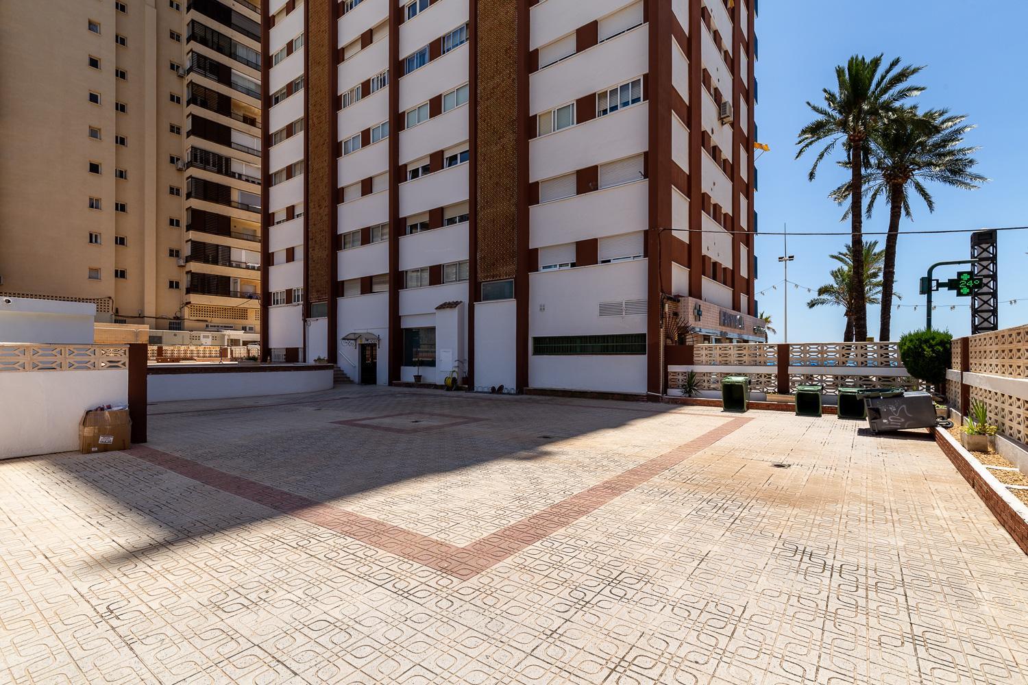Las Palmeras 10A view 5
