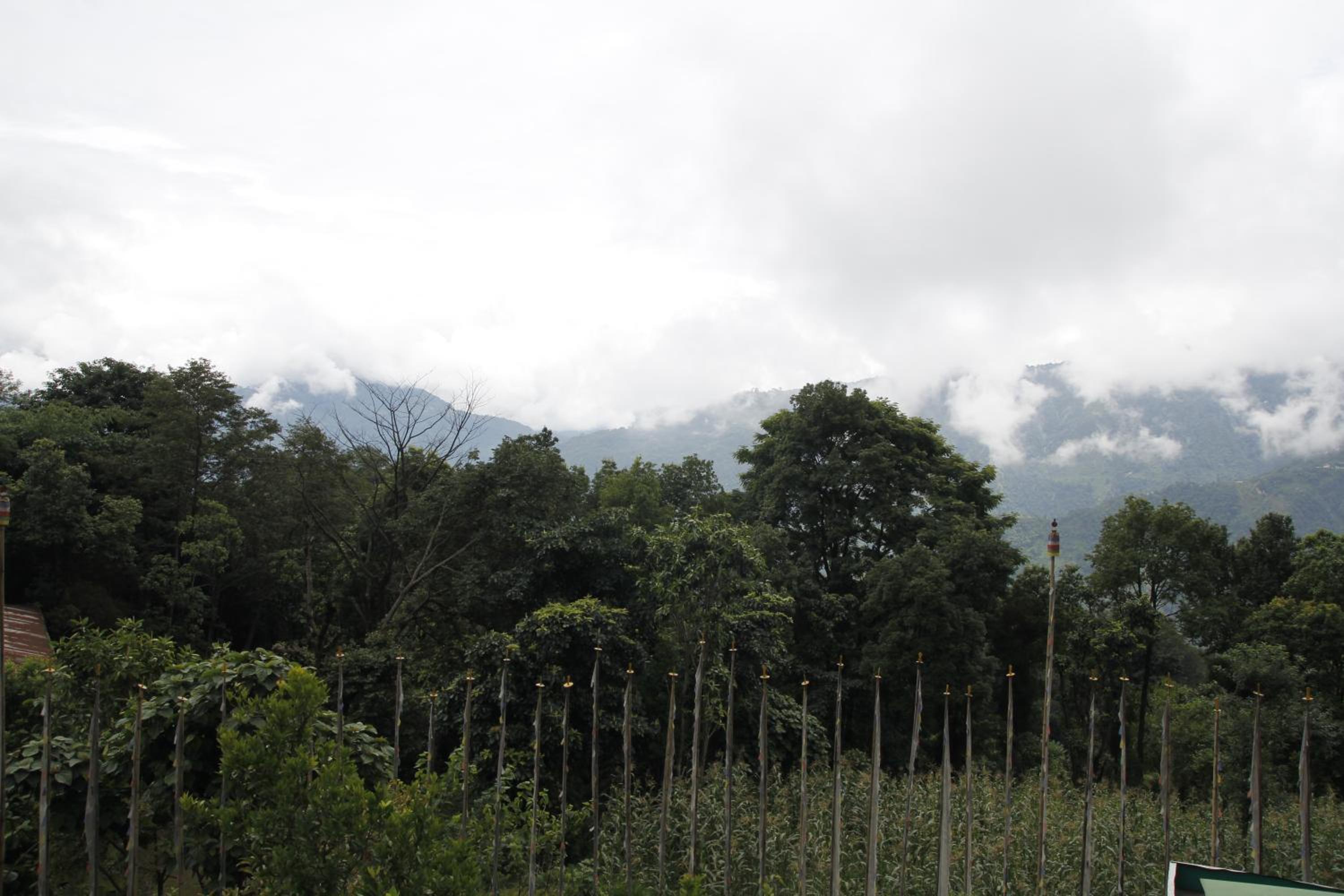 Gomethang Homestay view 5