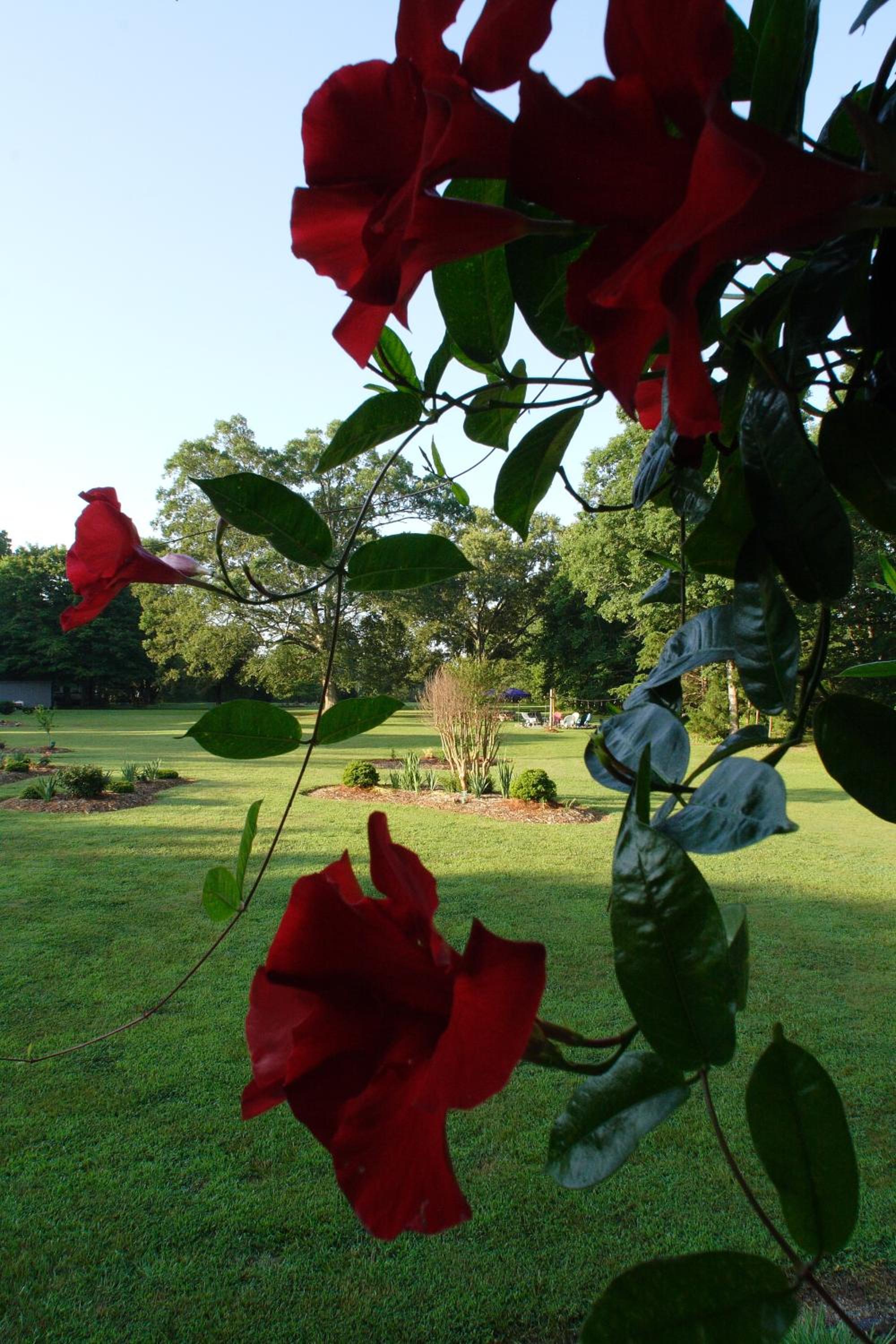 Seven Oaks Bed & Breakfast