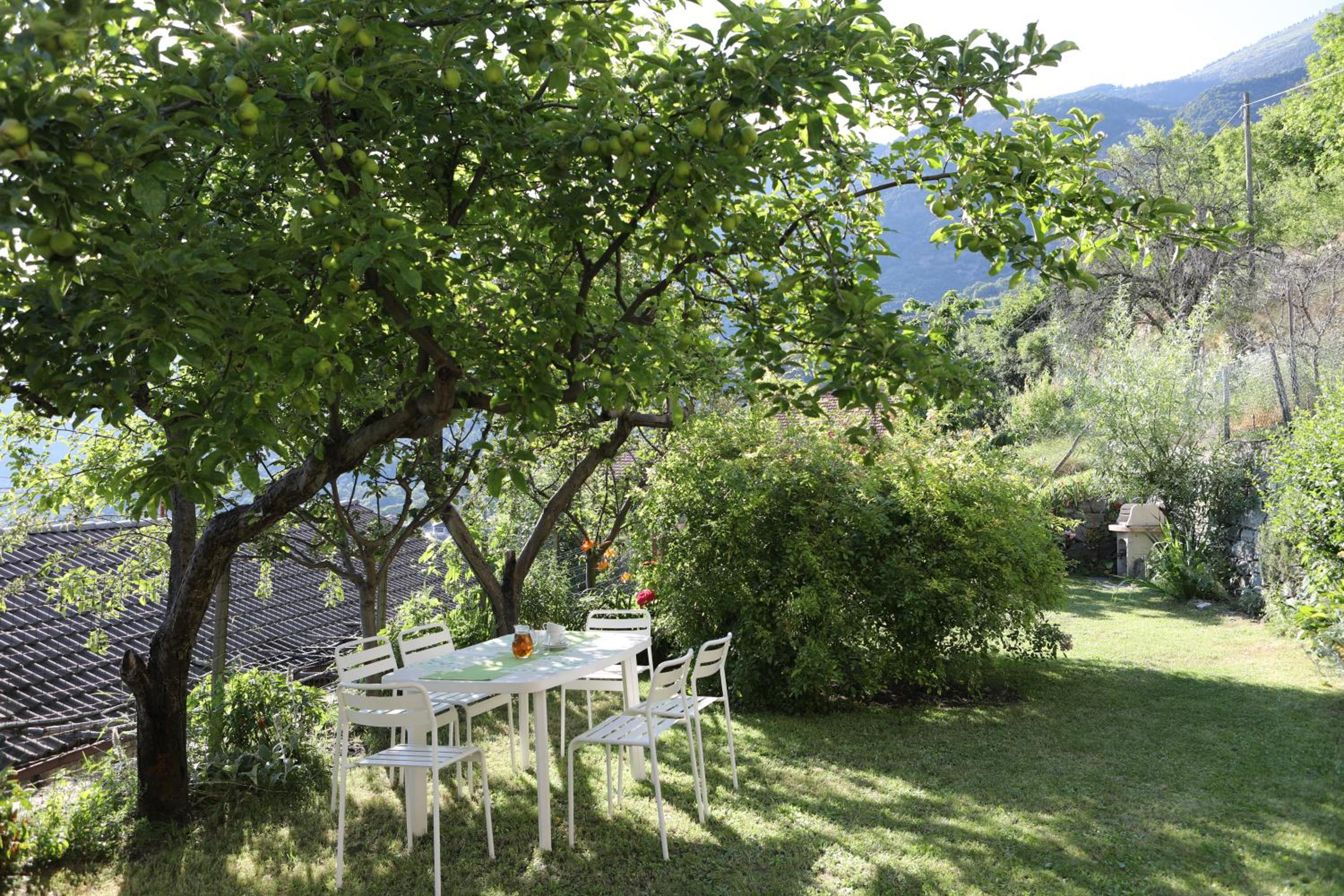 Le Rosier B&B e Appartamento