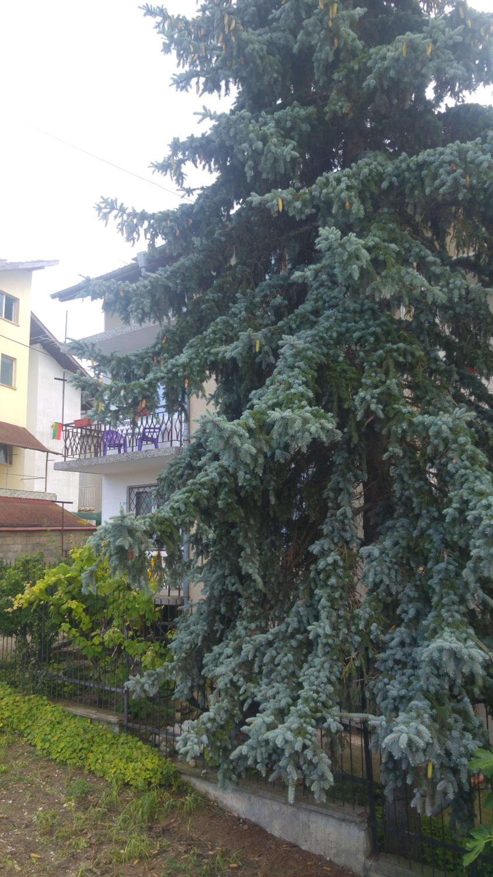 Guest House 51