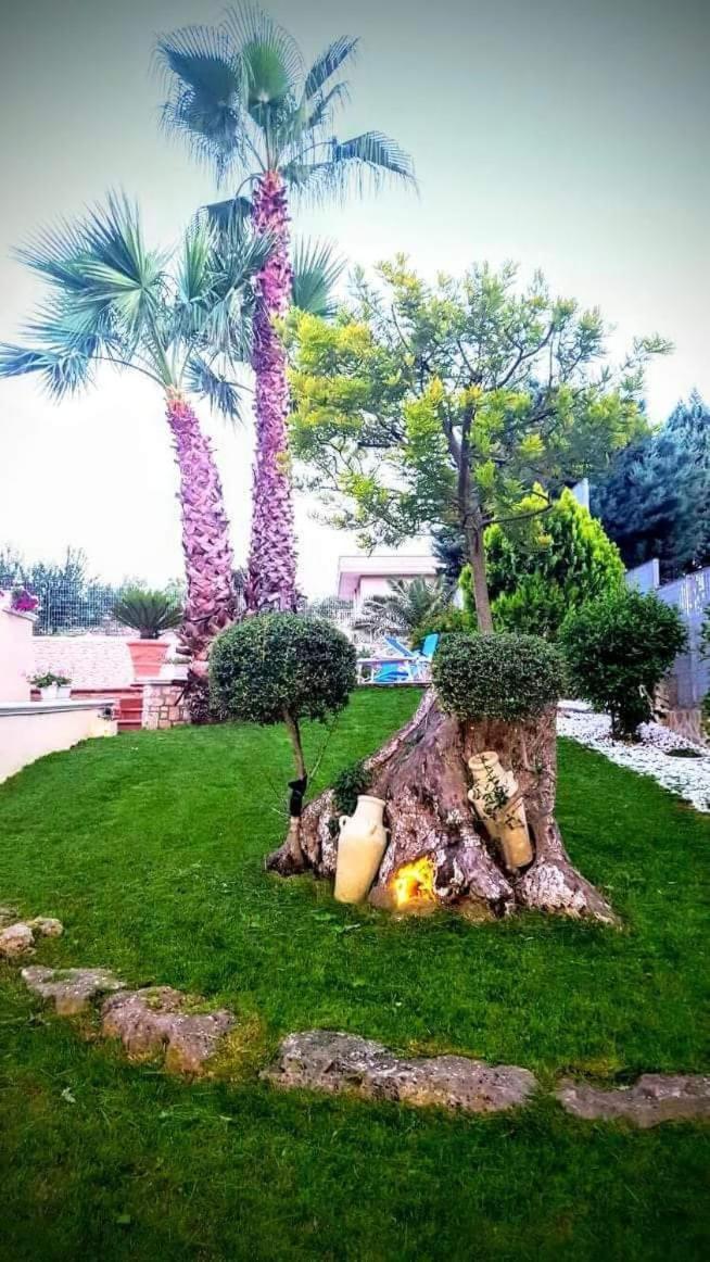 Photo 44