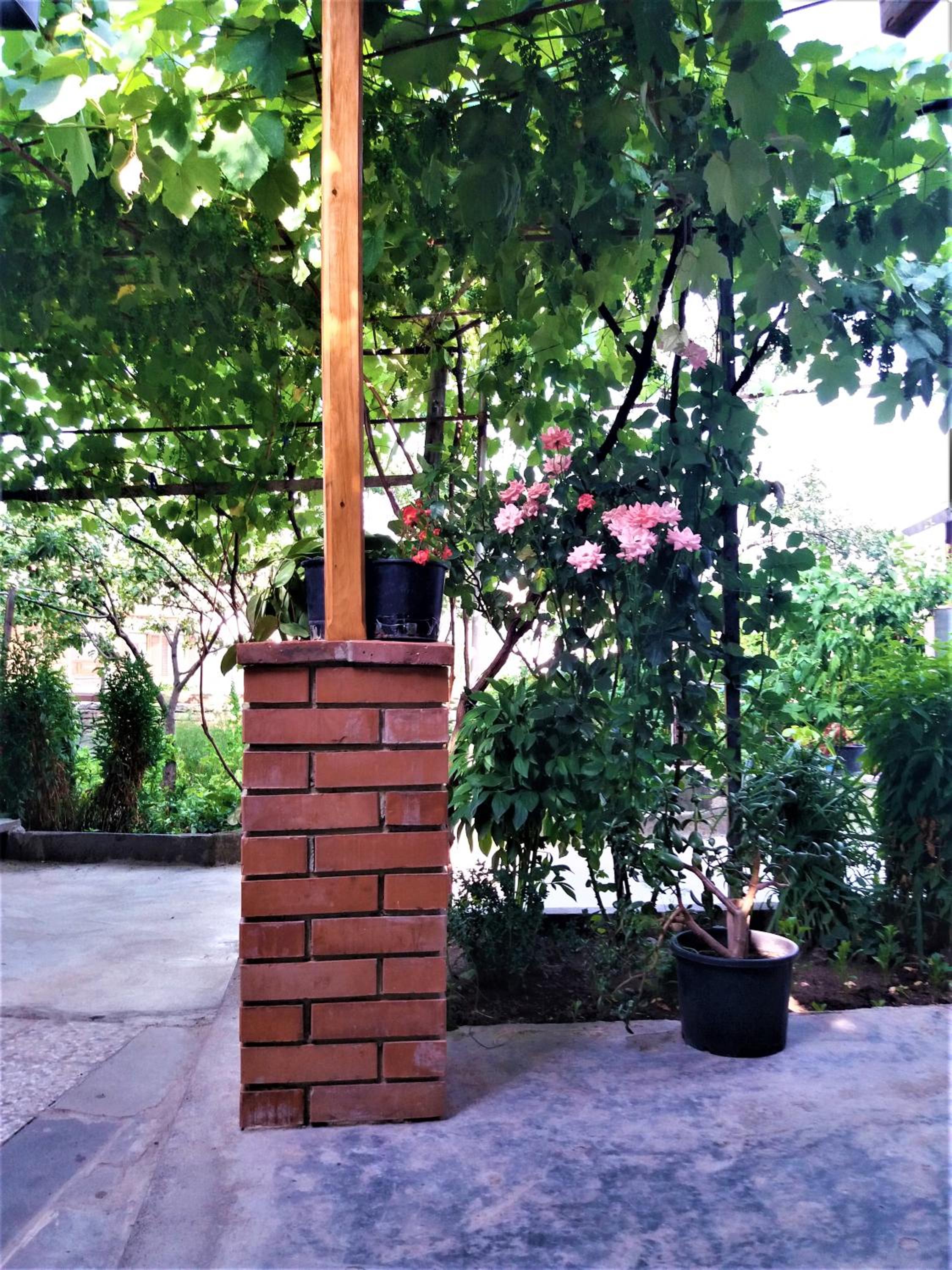 Photo 26