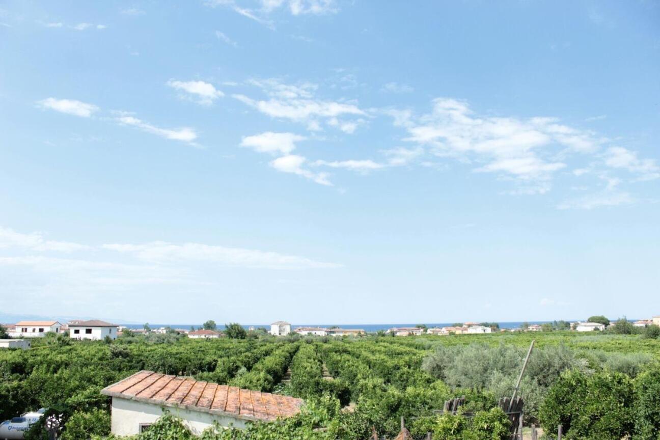 Profumo di Zagara view 2