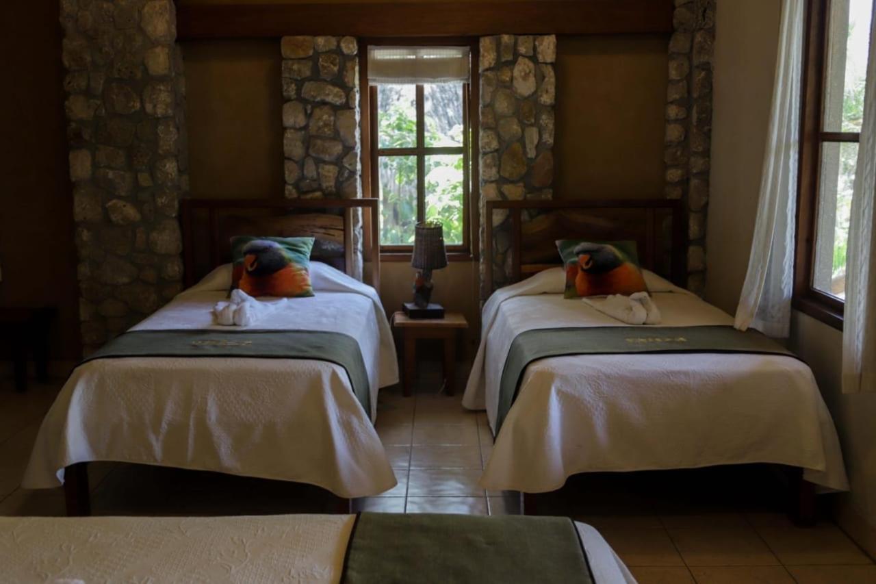 Hotel Bahia Taitza, photo 12