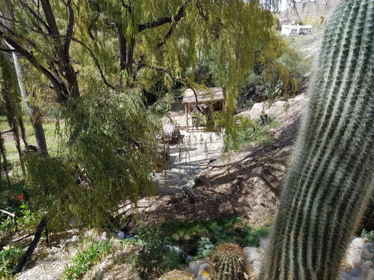 El Molino de Cachi