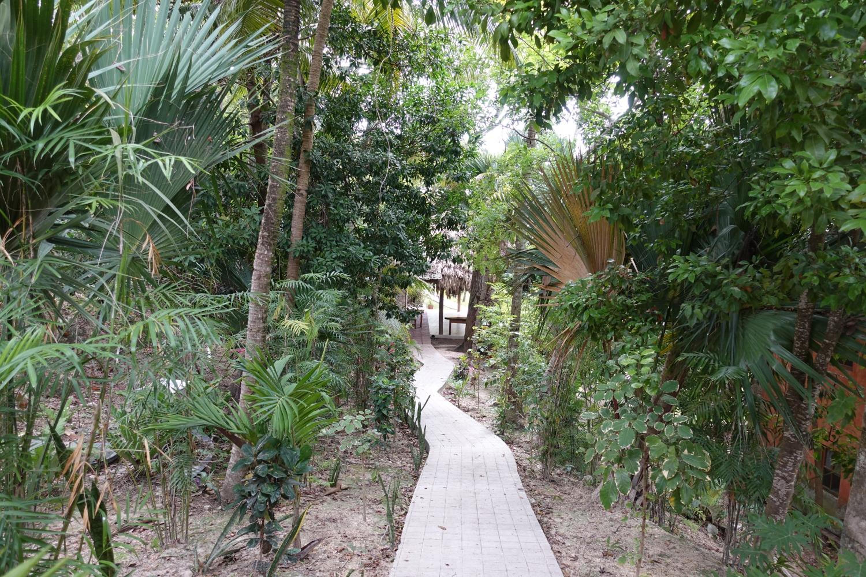 Hotel Bahia Taitza, photo 60