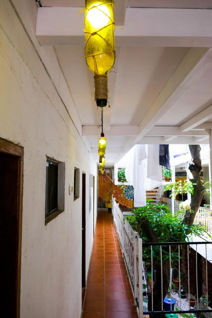 Casa Oro Eco Hostel