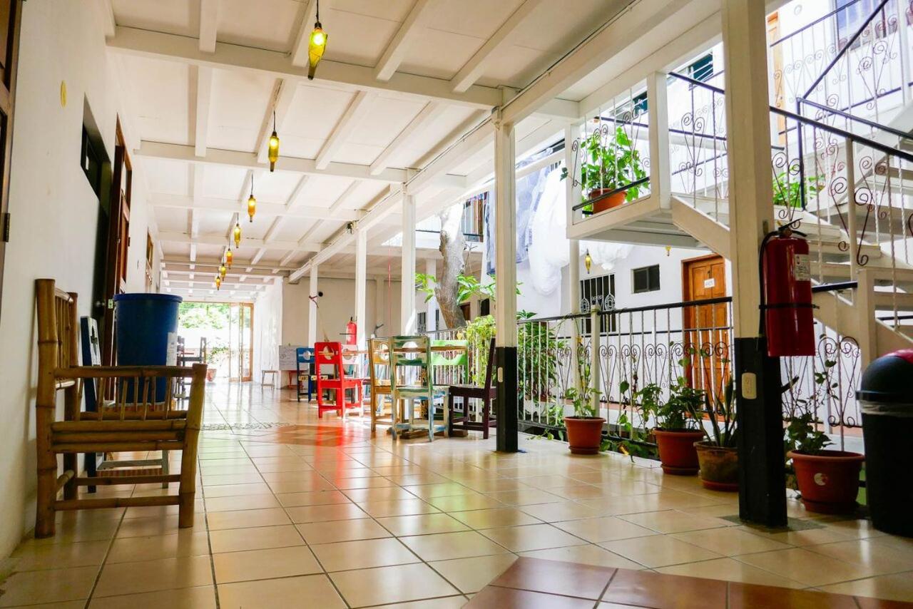 Casa Oro Eco Hostel