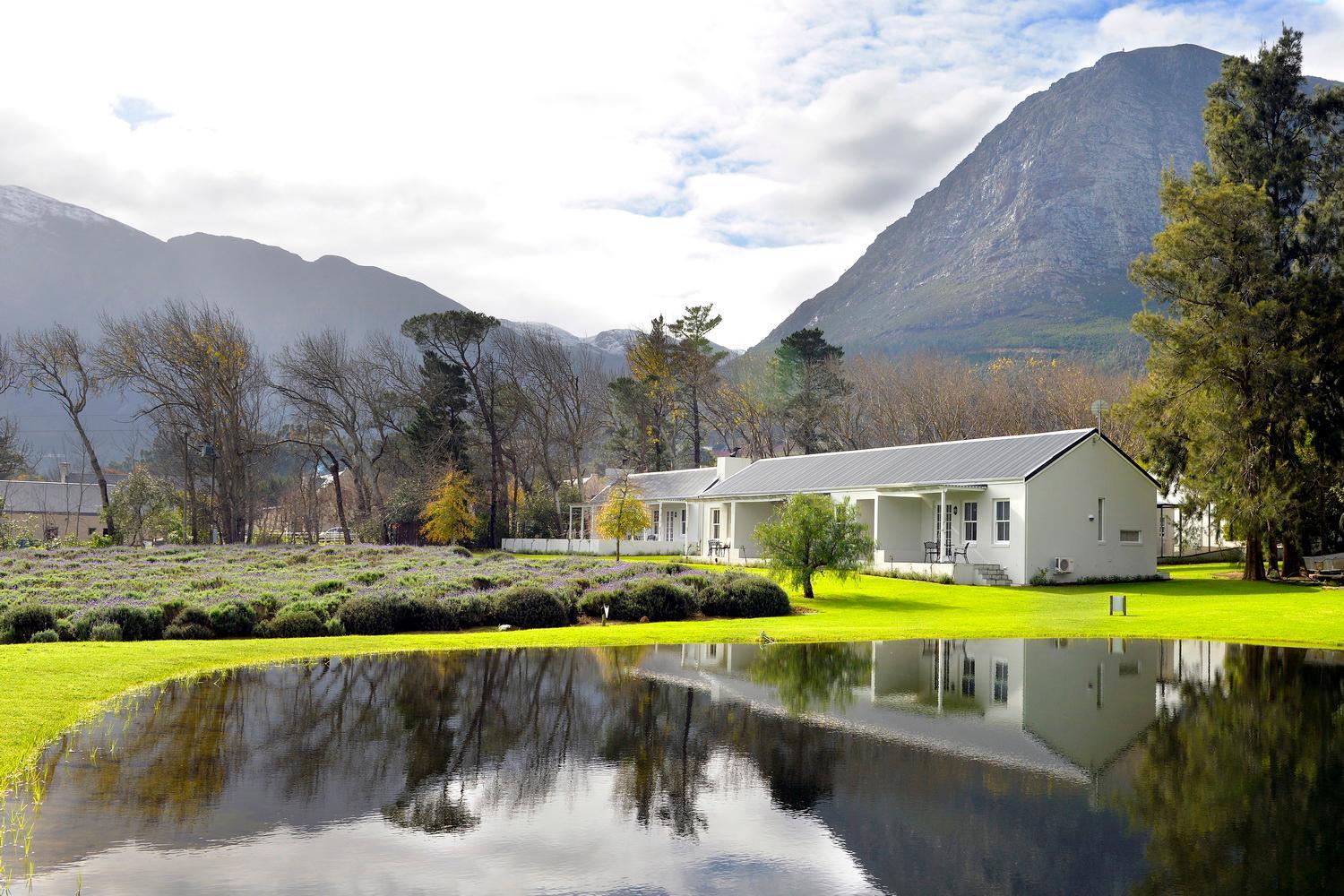 Lavender Farm Boutique Guest House