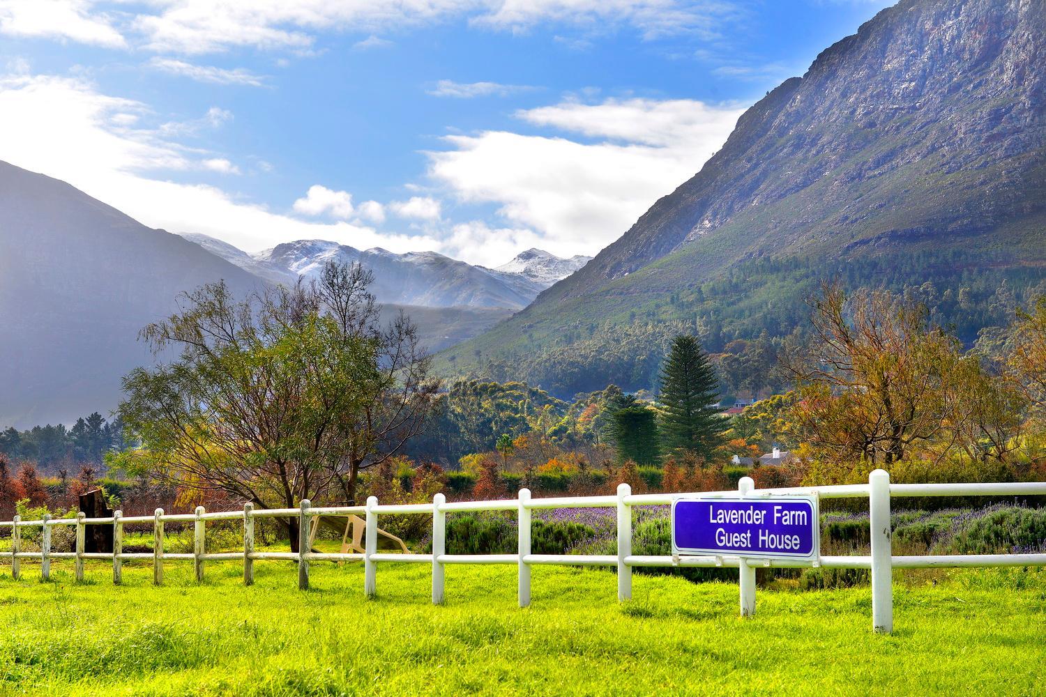 Lavender Farm Boutique Guest House