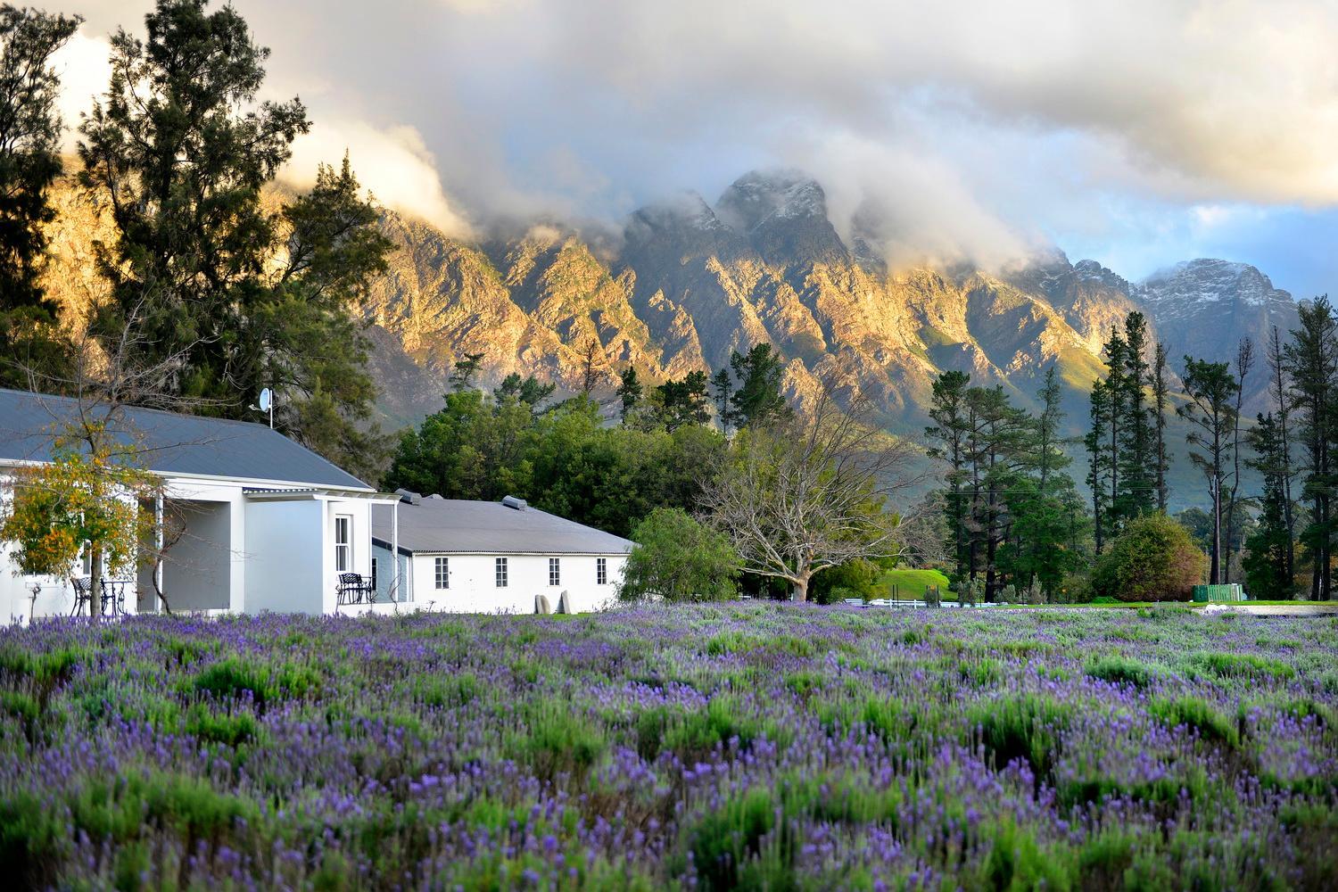 Lavender Farm Boutique Guest House