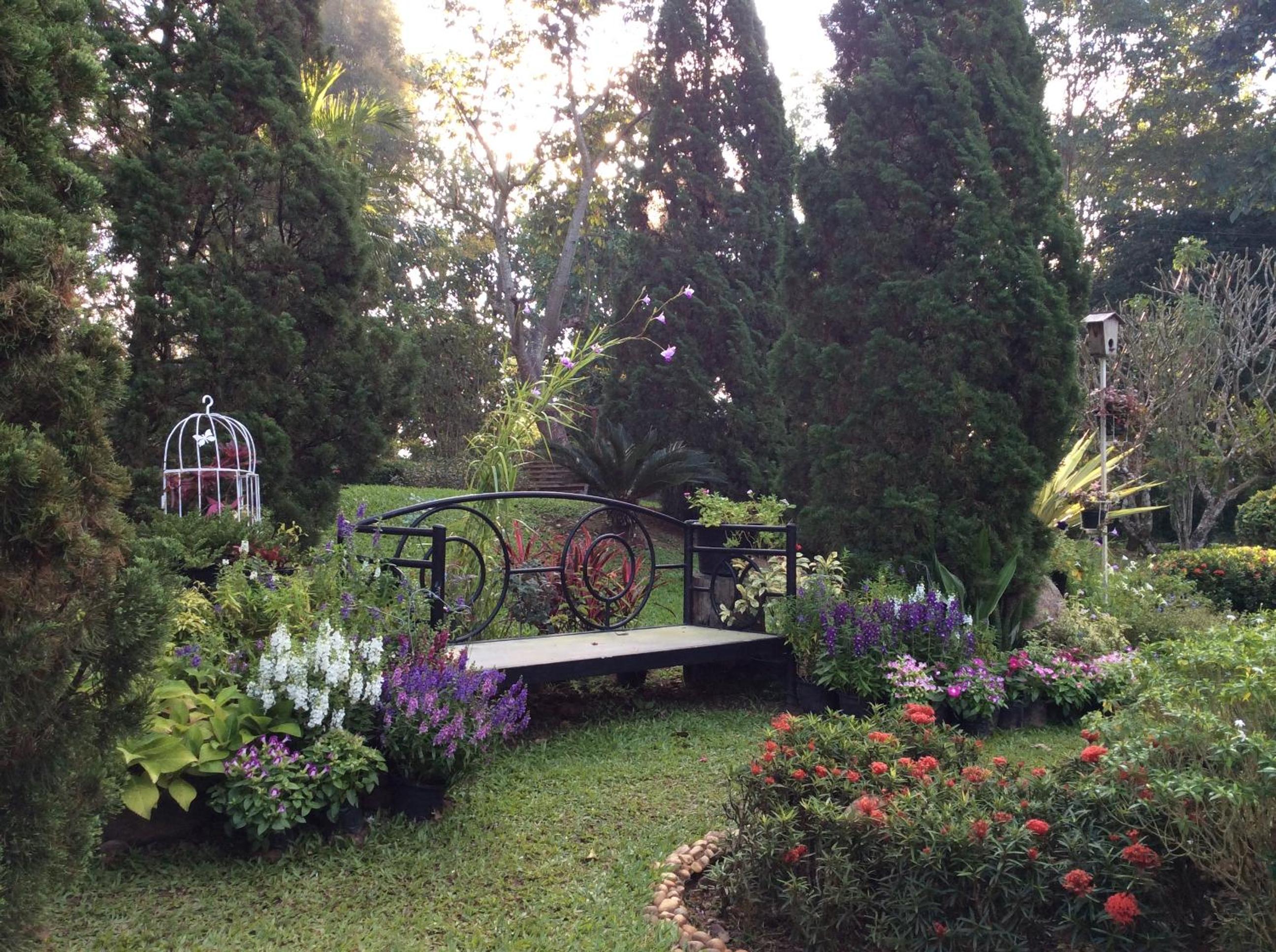 Baan JaoKorKluay บ้านเจ้ากอกล้วย