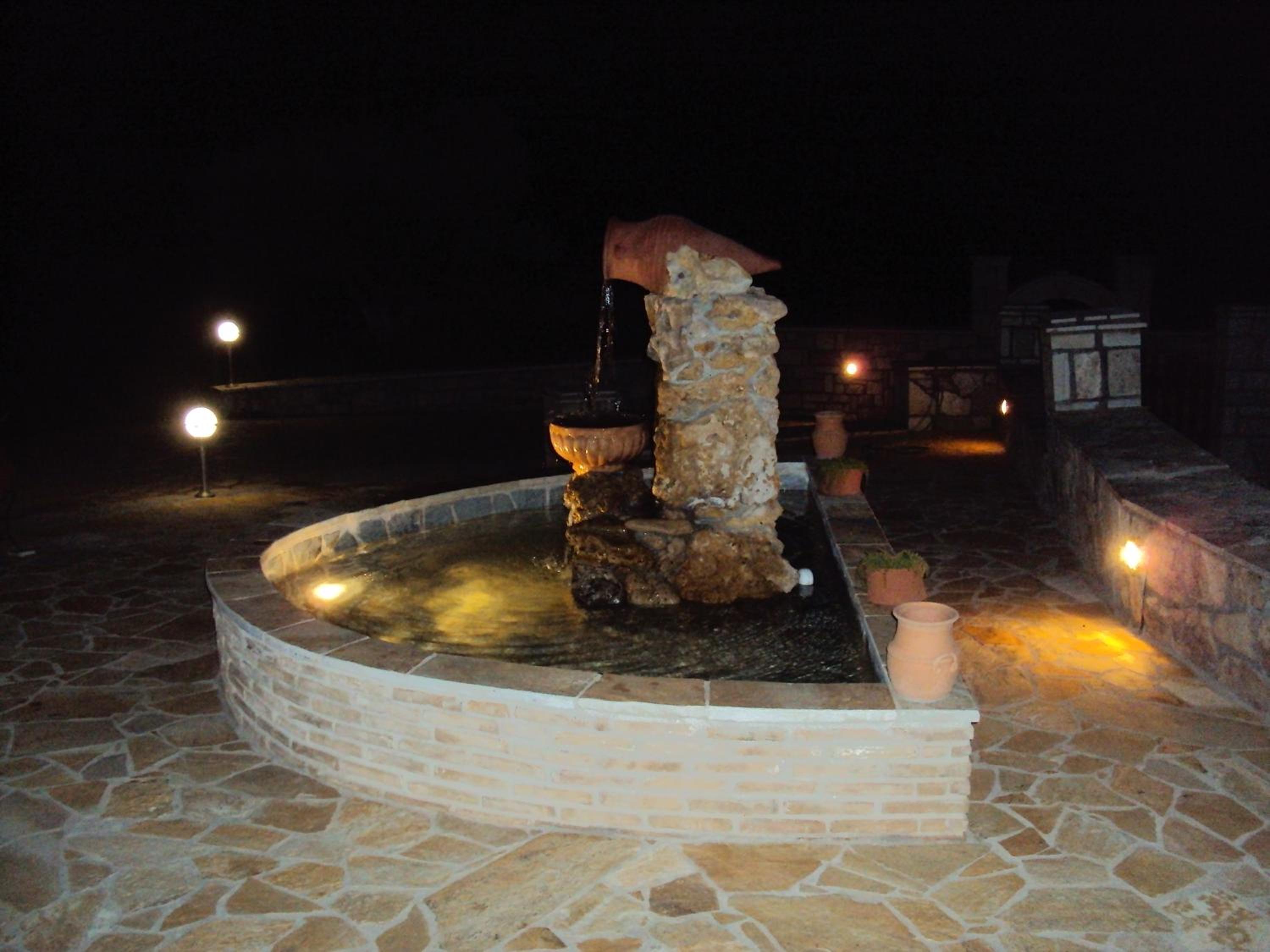 Photo 41
