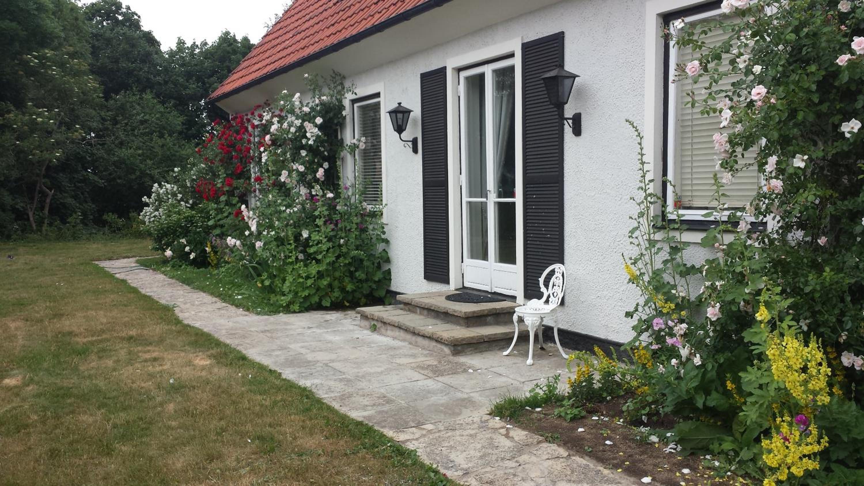 Photo 15