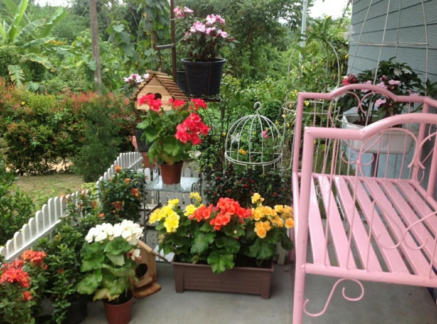 Baan JaoKorKluay บ้านเจ้ากอกล้วย