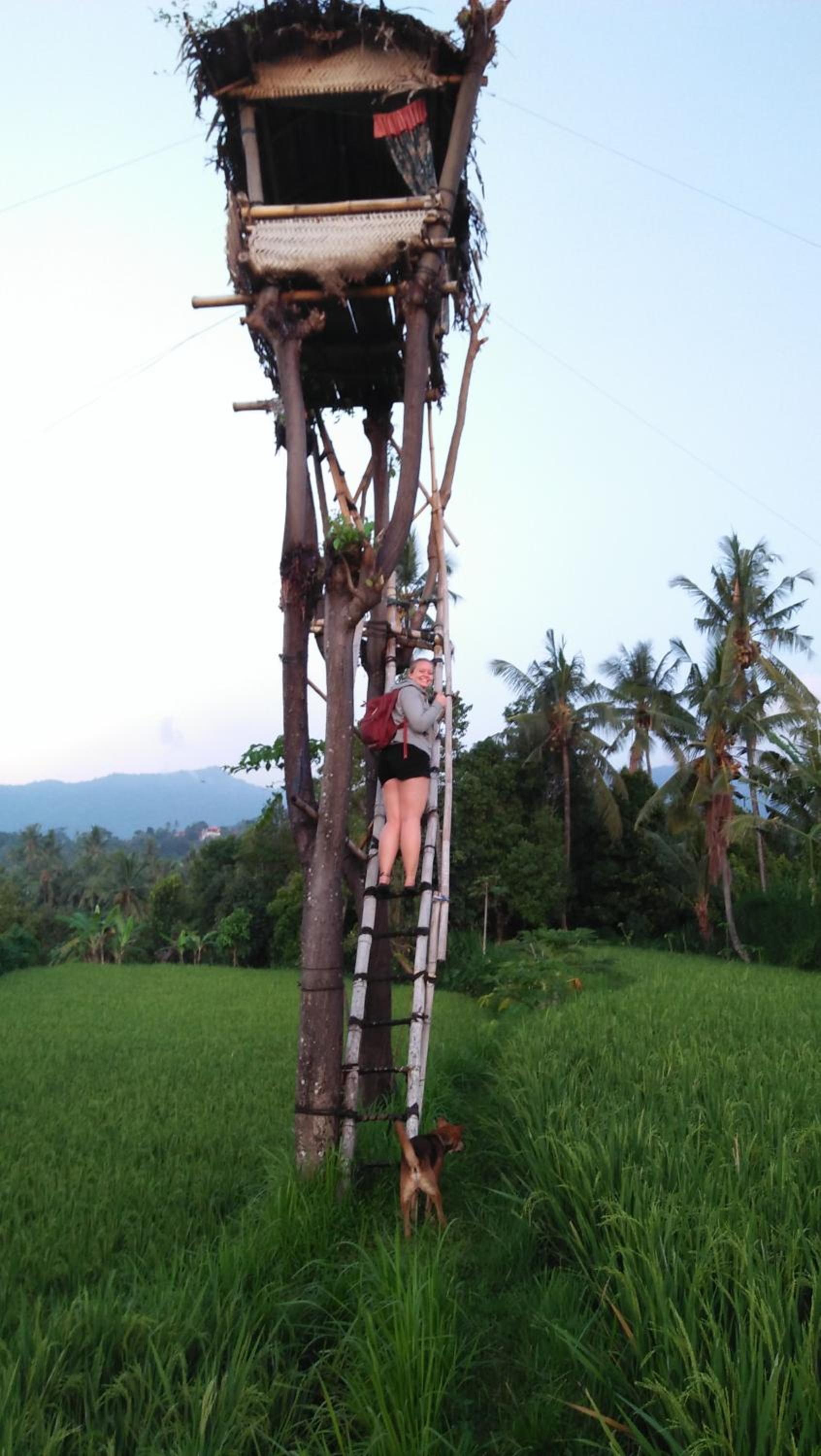 DWM ESA di Kubu Homestay By Reccoma