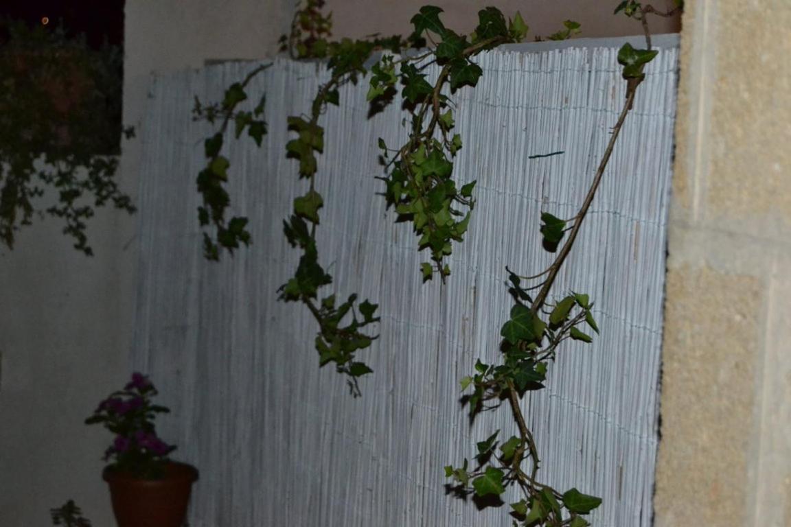 Photo 36