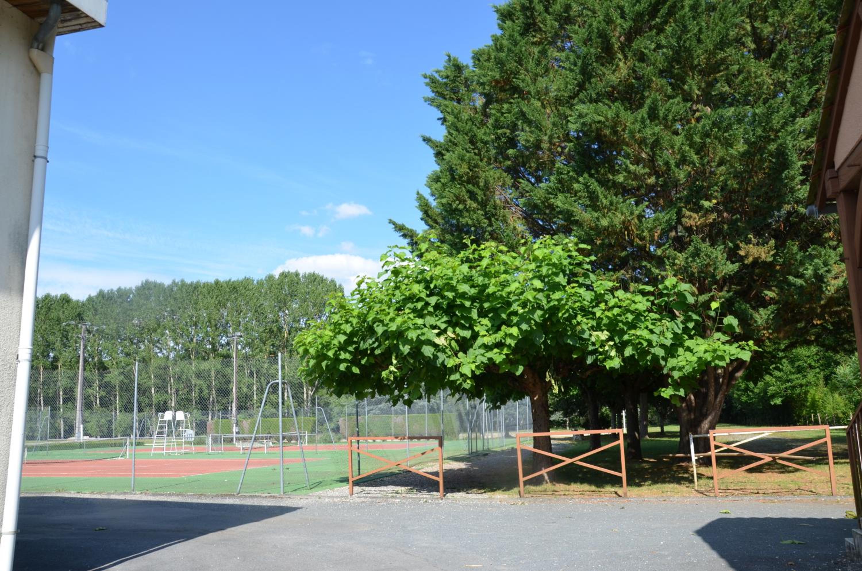 Photo 29