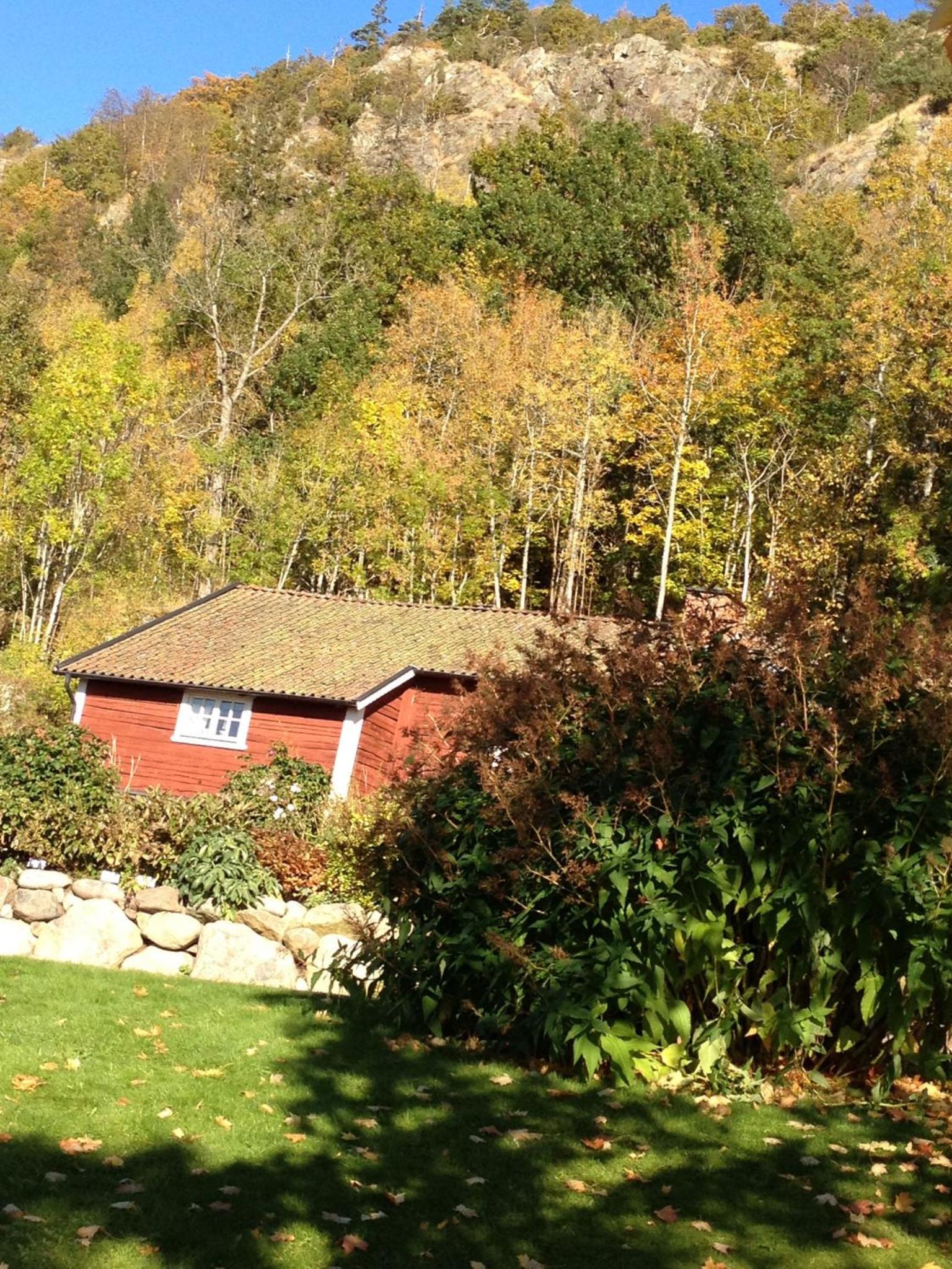 Photo 46