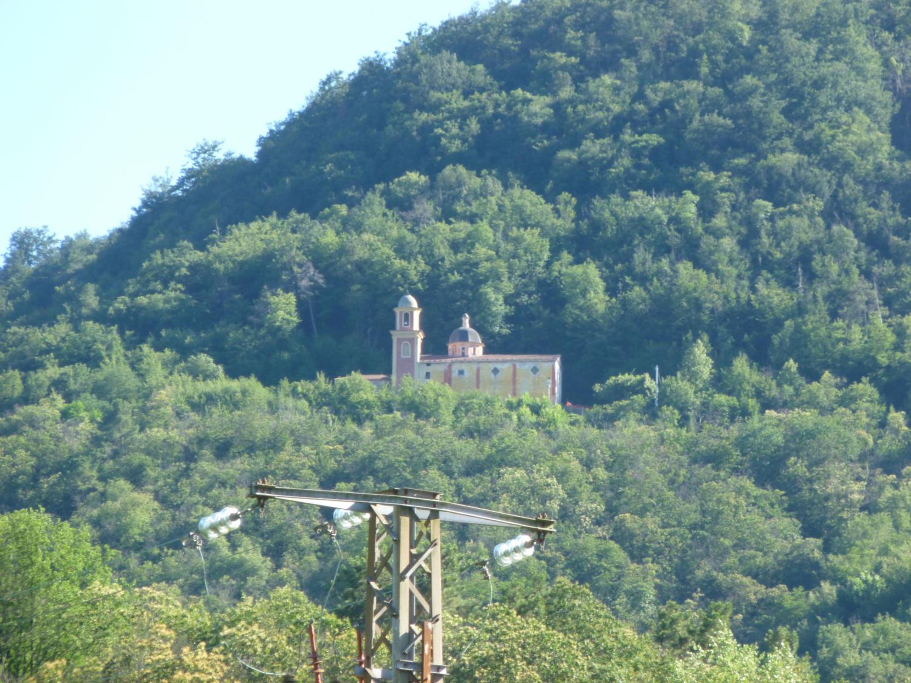 Photo 50