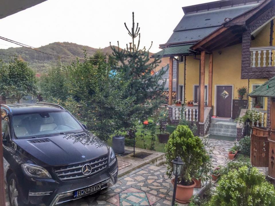 Pensiunea La Răducu view 2