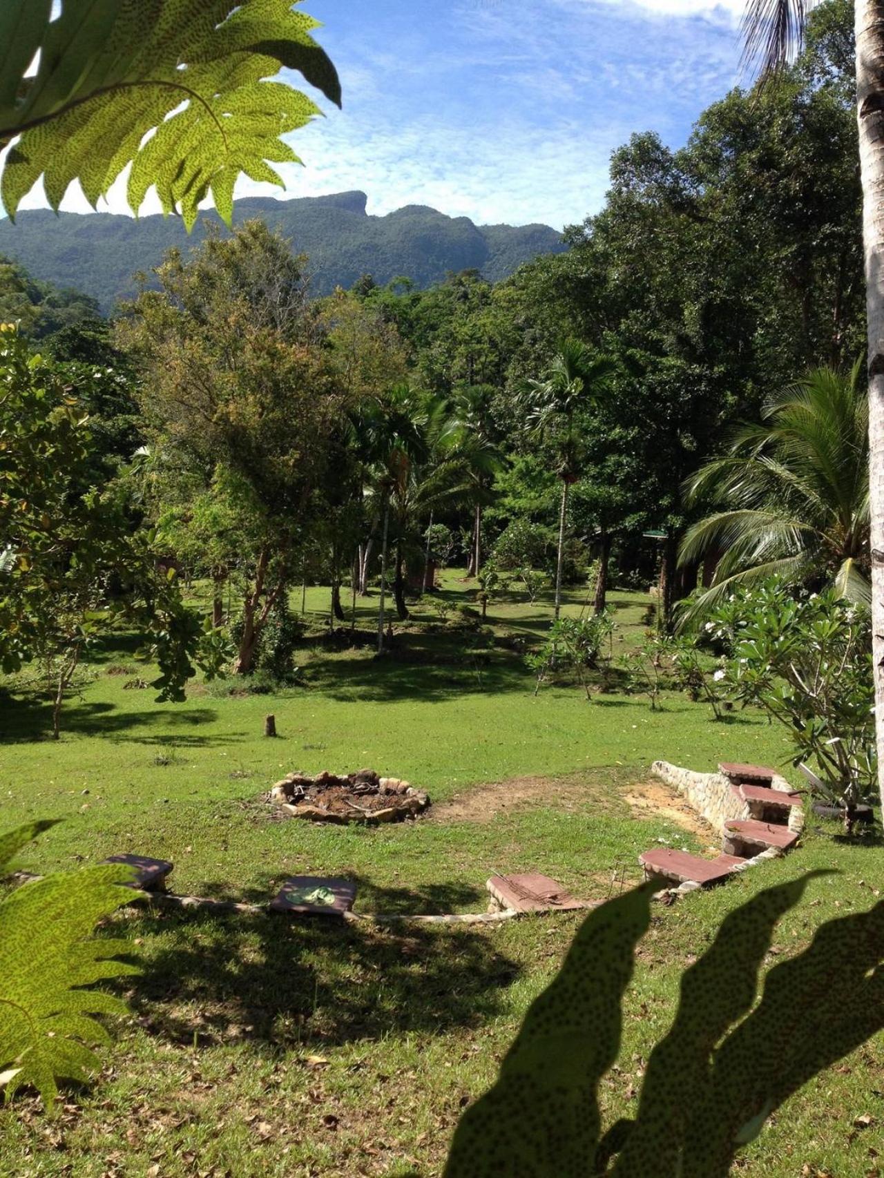 Photo 42