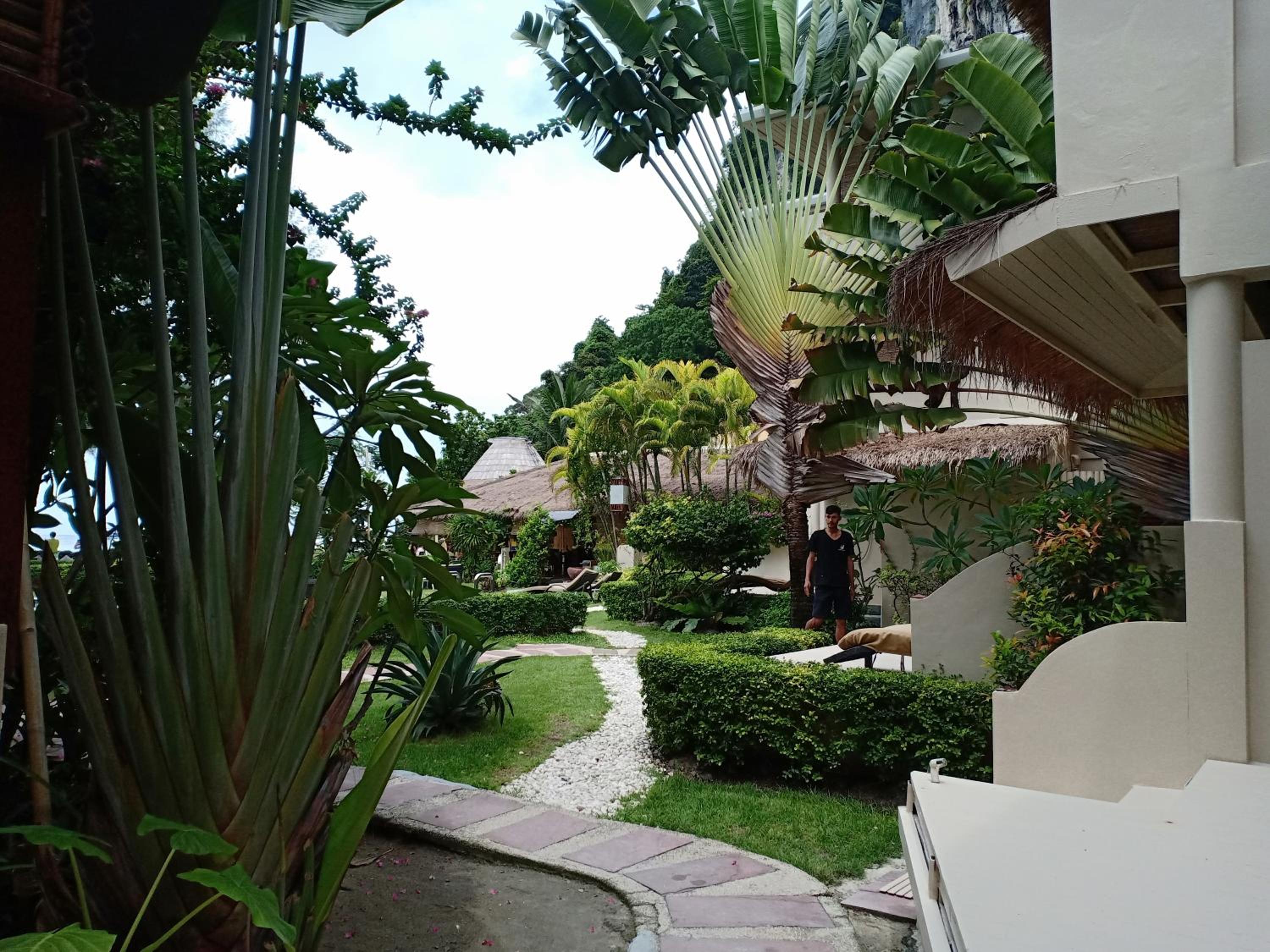 Photo 12