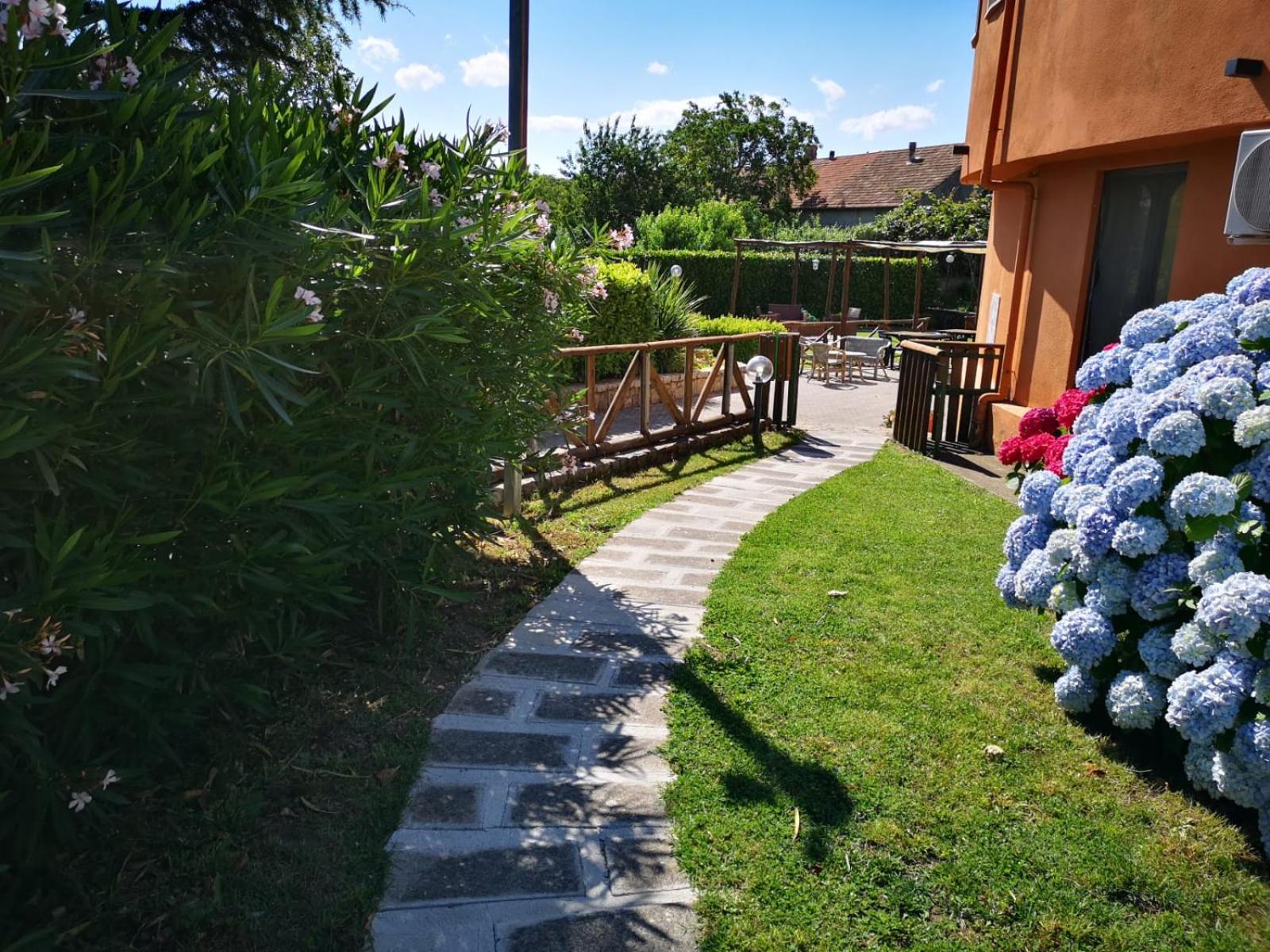 Photo 15