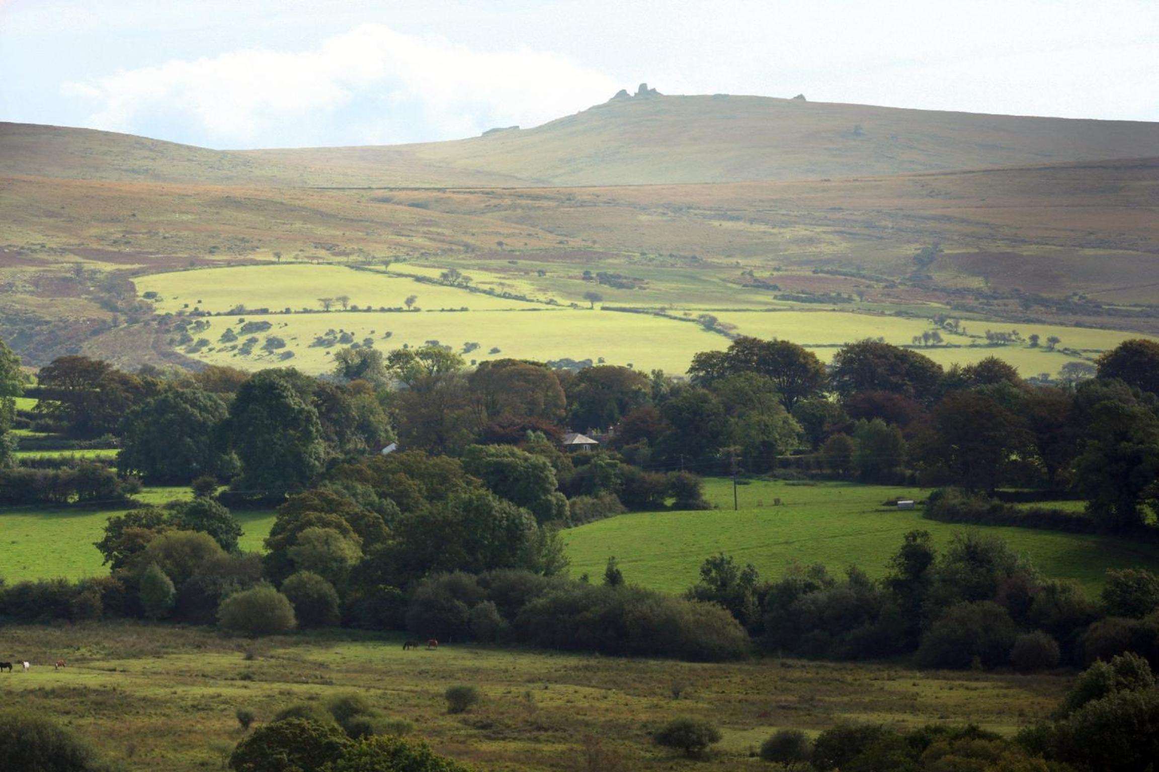 Okehampton Vacations - Collaven Manor - Property Image 13