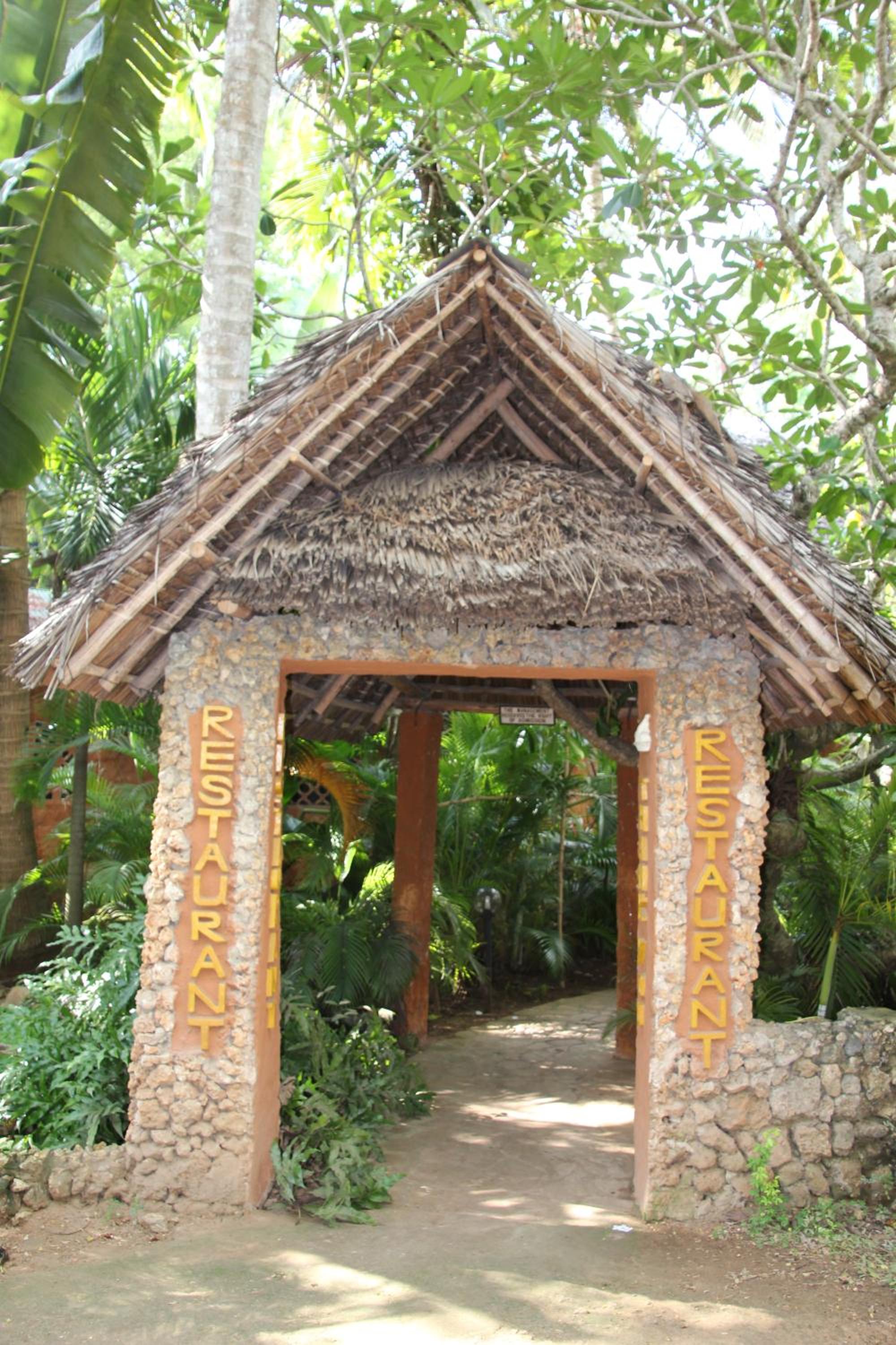 Photo 44