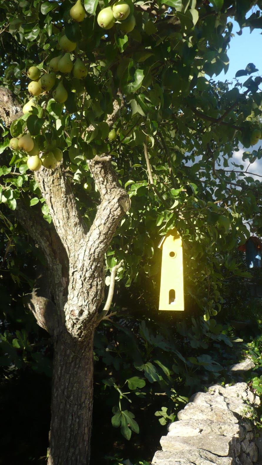 Photo 22