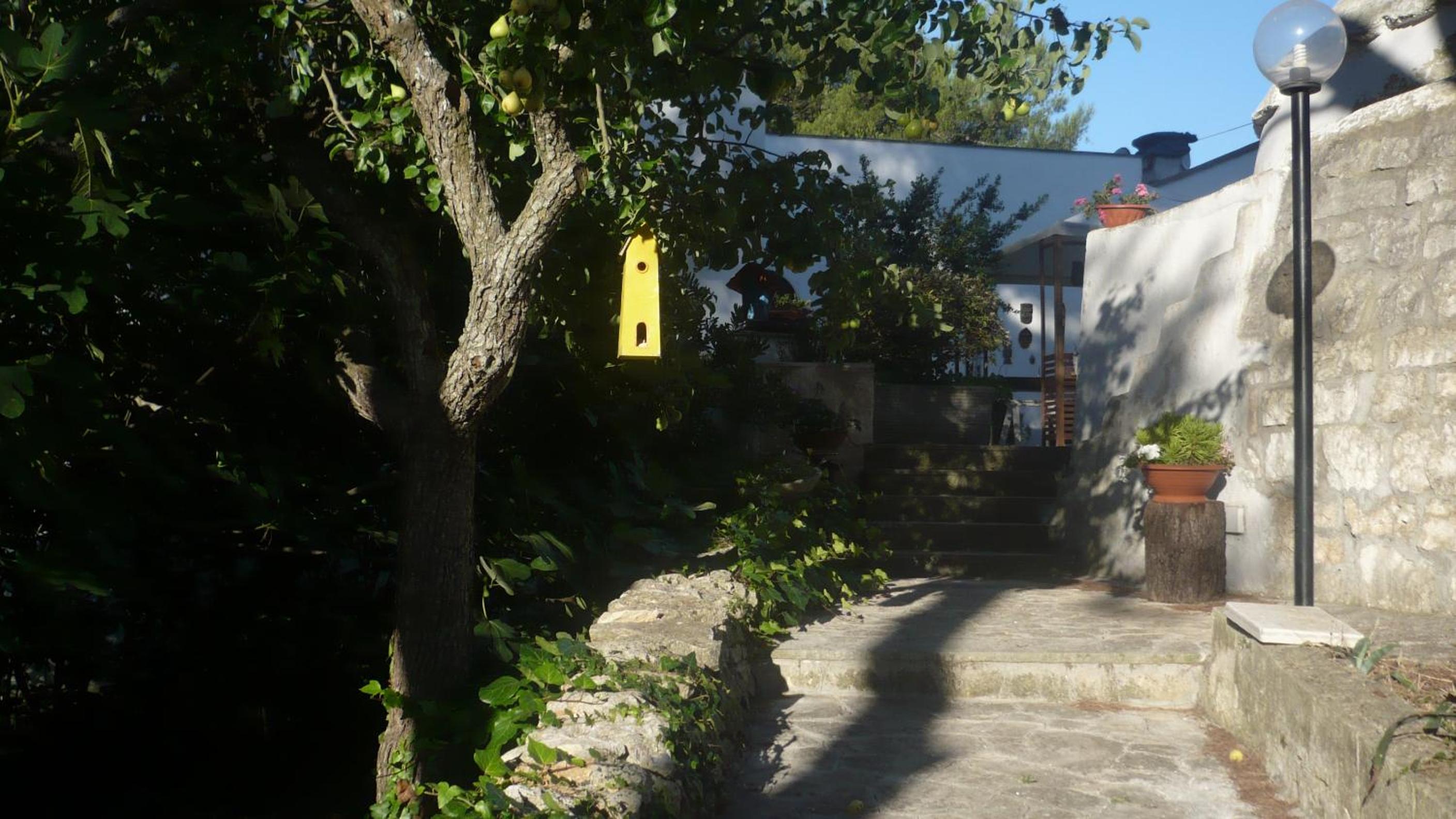 Photo 23