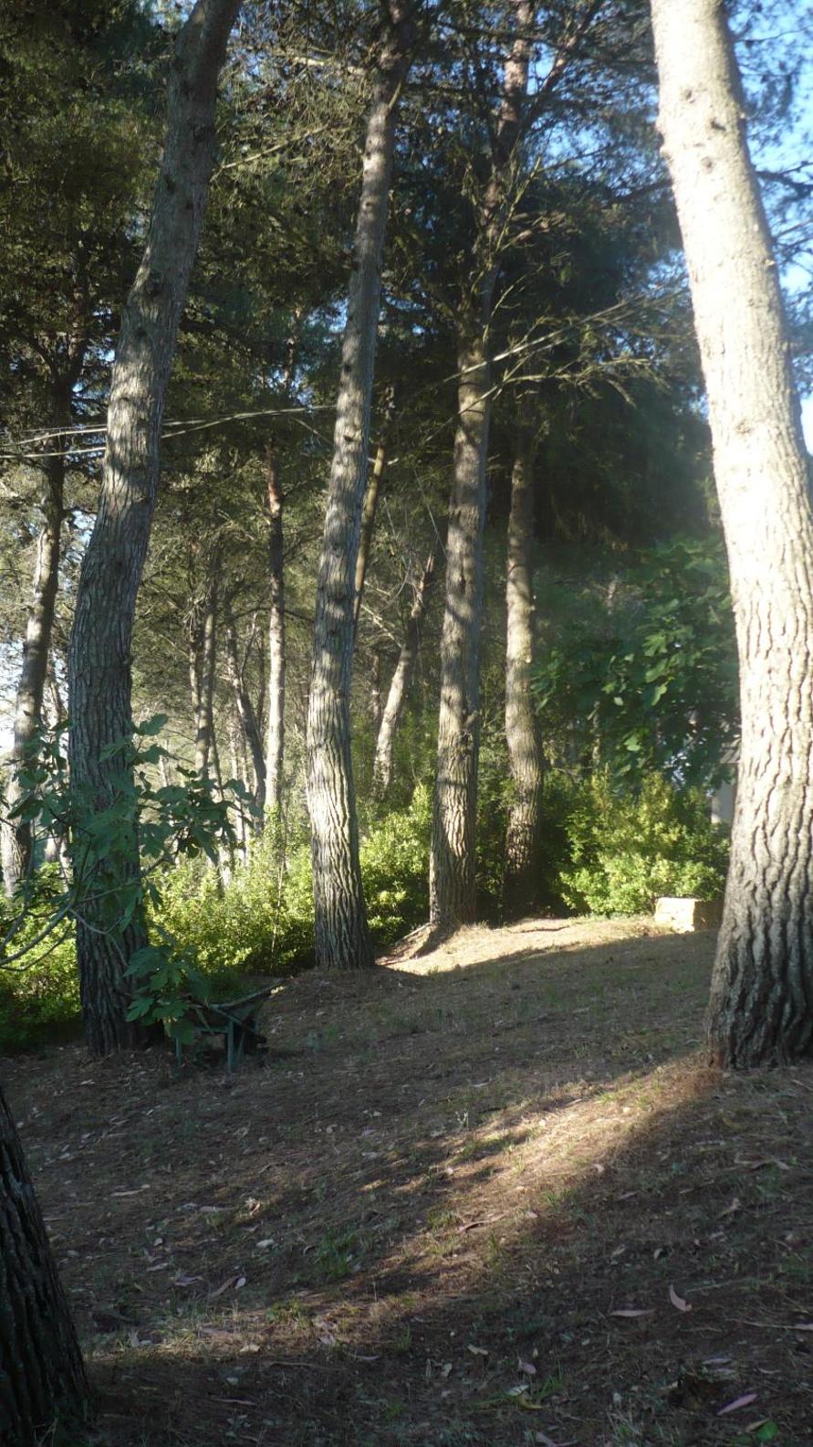 Photo 21