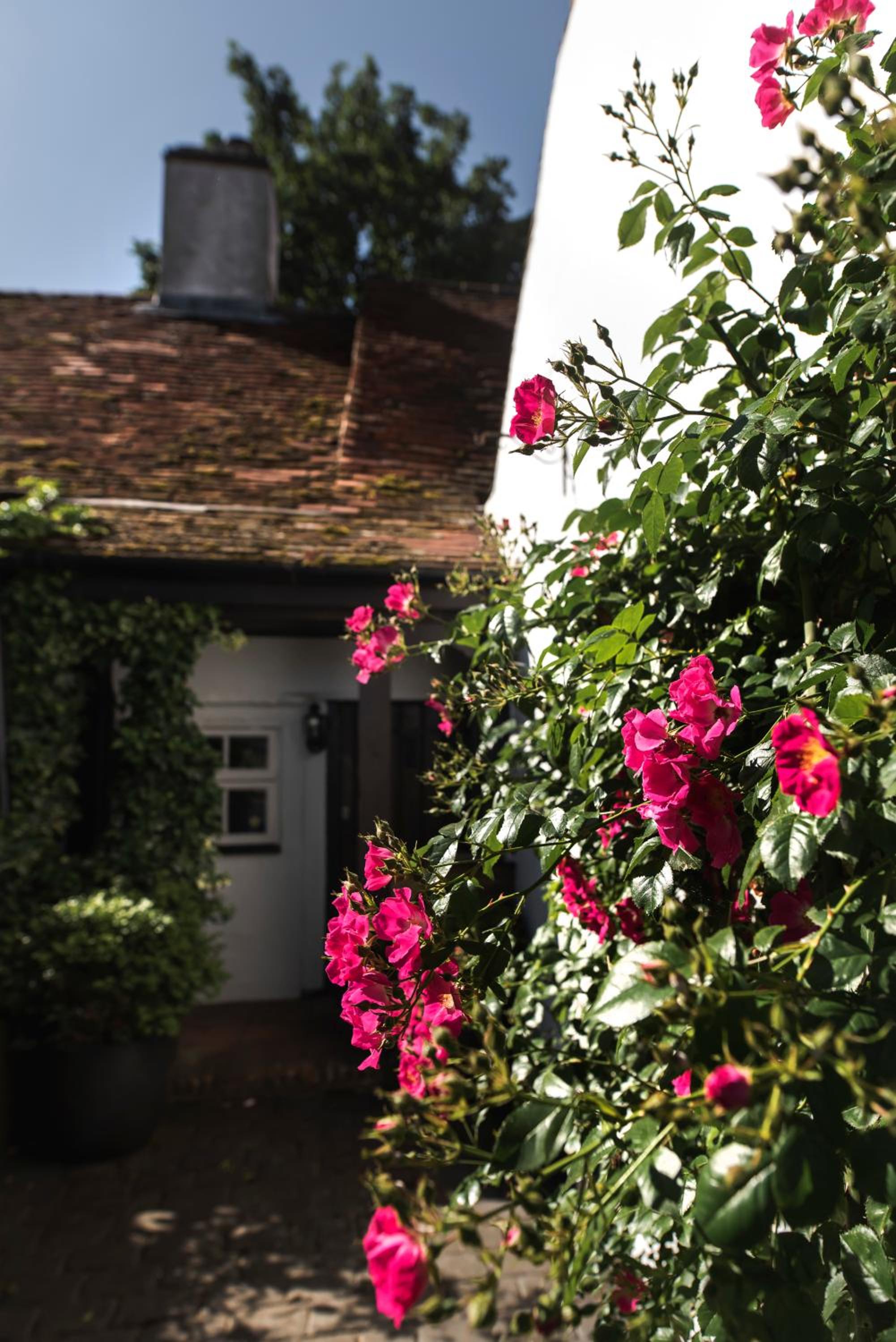 The Jasmine Room