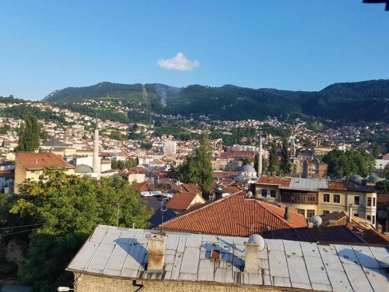 Curovac View