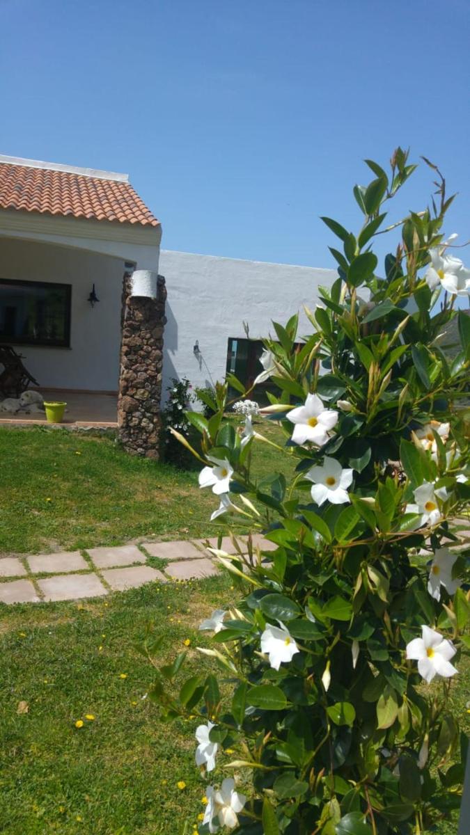 Castelsardo Vacations - La Fattoria - Property Image 24