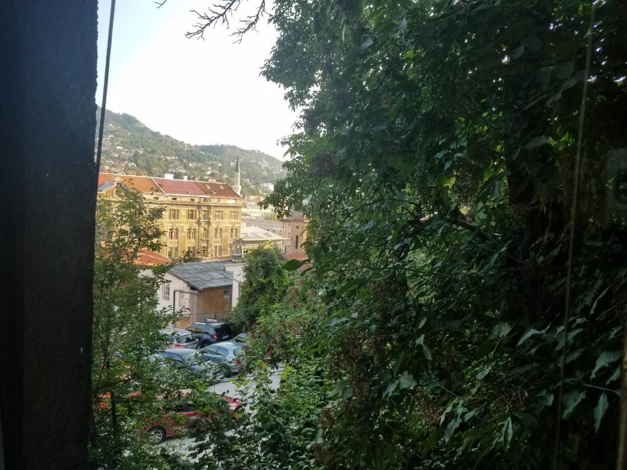 Curovac View