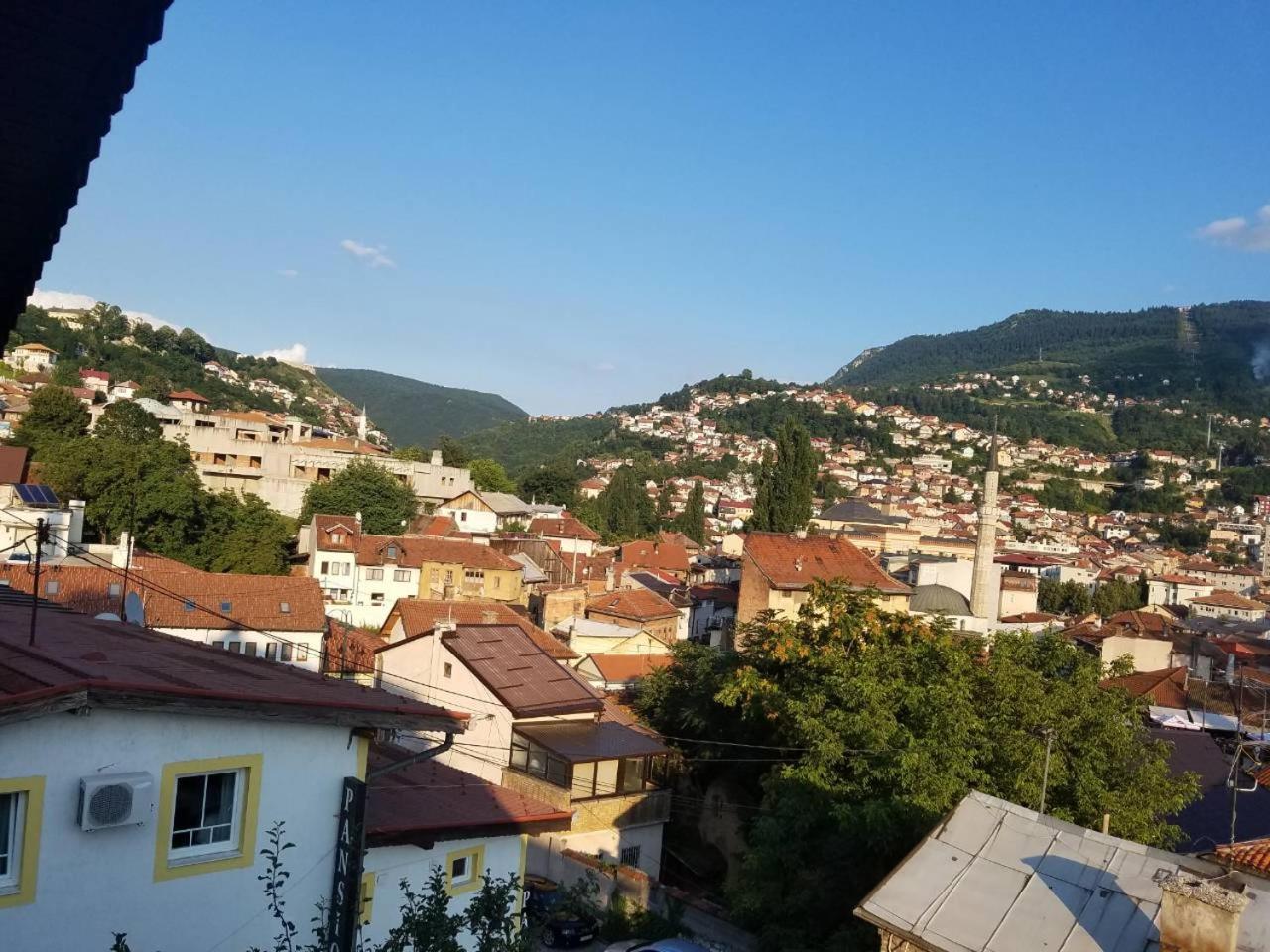 Curovac View