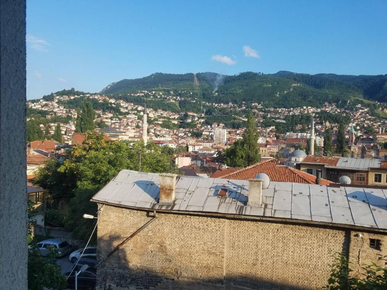 Curovac View