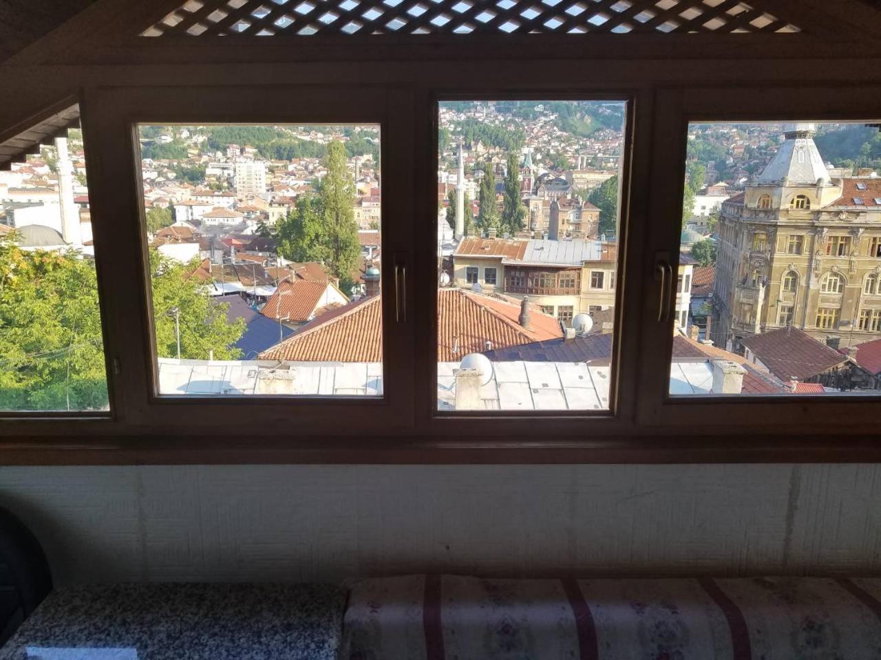 Curovac View