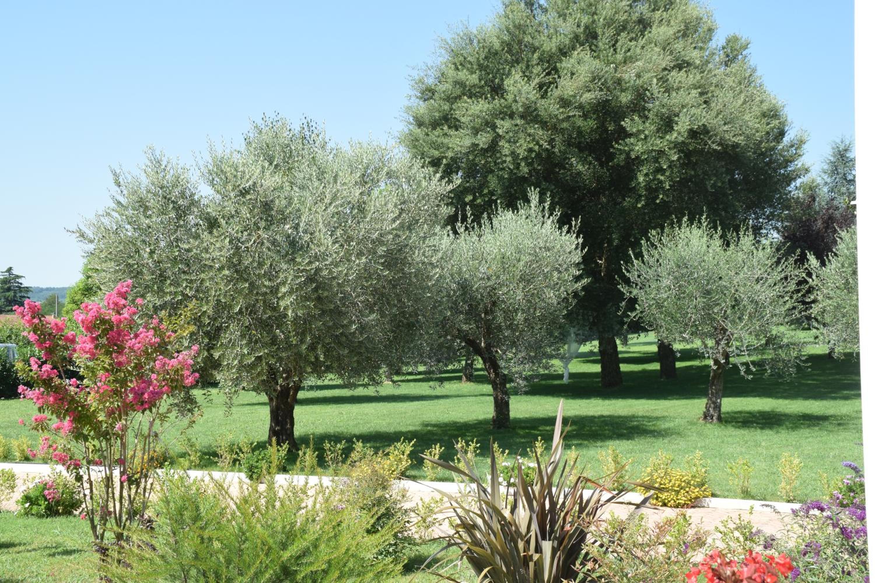 Anima Antiqua Relais & Spa view 3