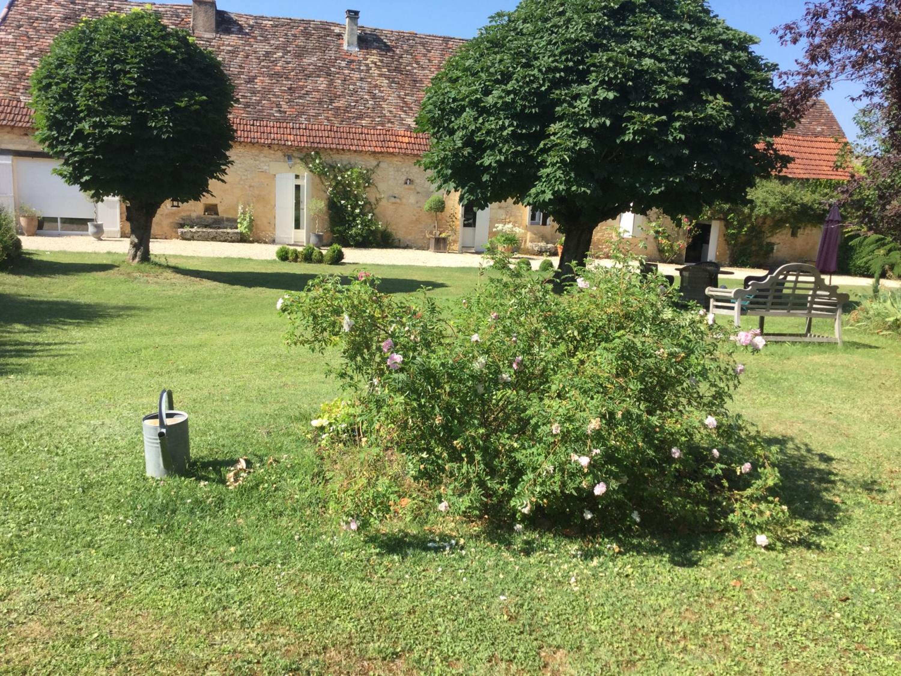 Photo 19