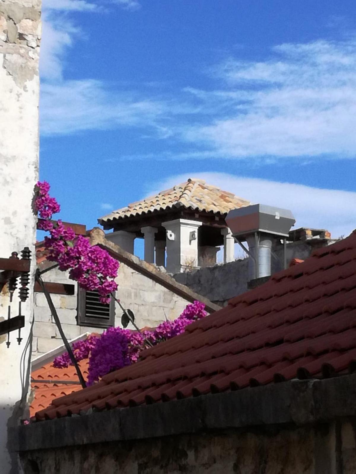 Hotel Cherry Luxury Apartment - Image 1