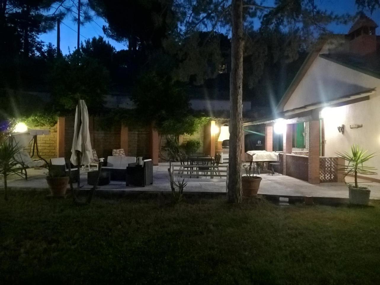 Photo 19