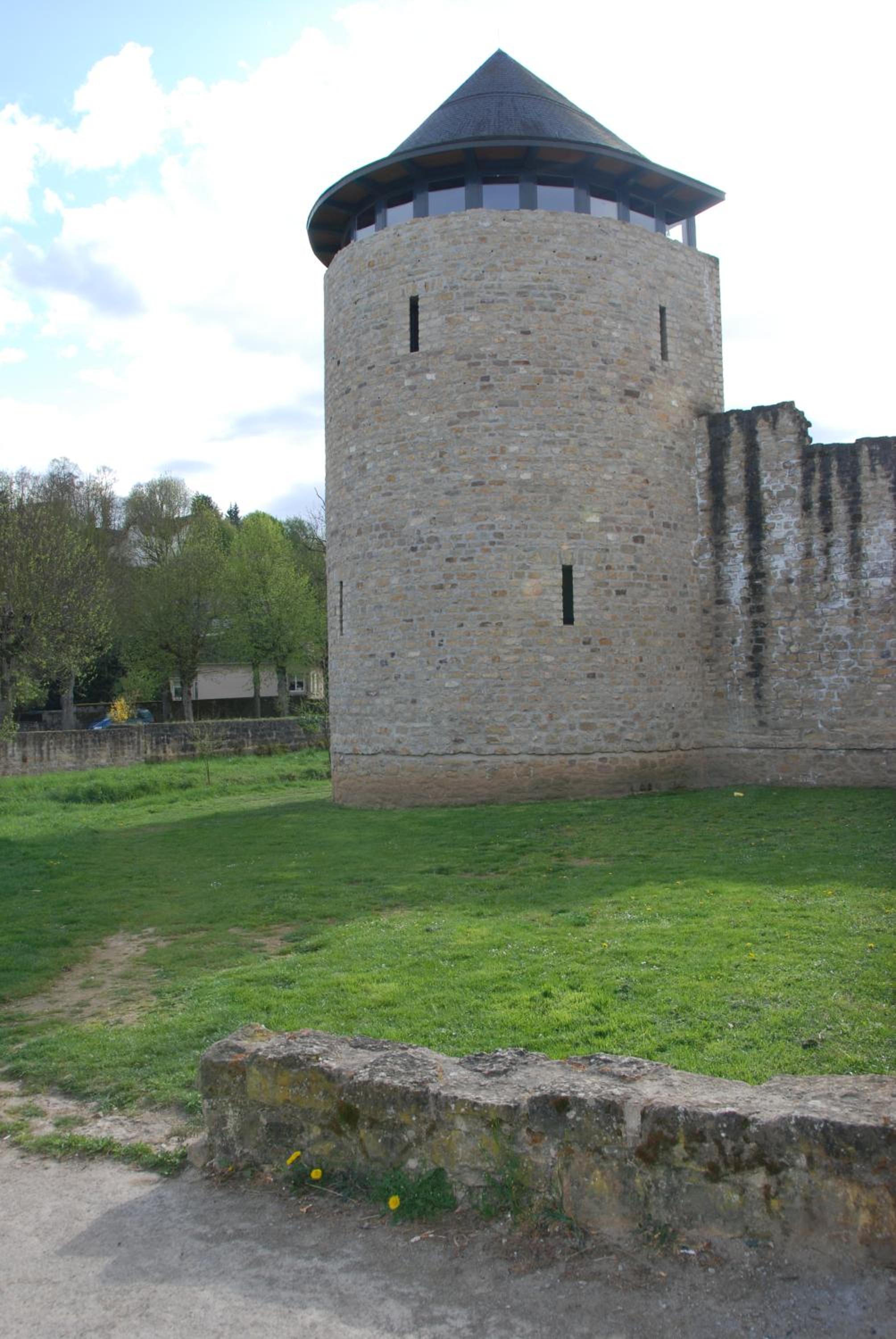 Photo 5
