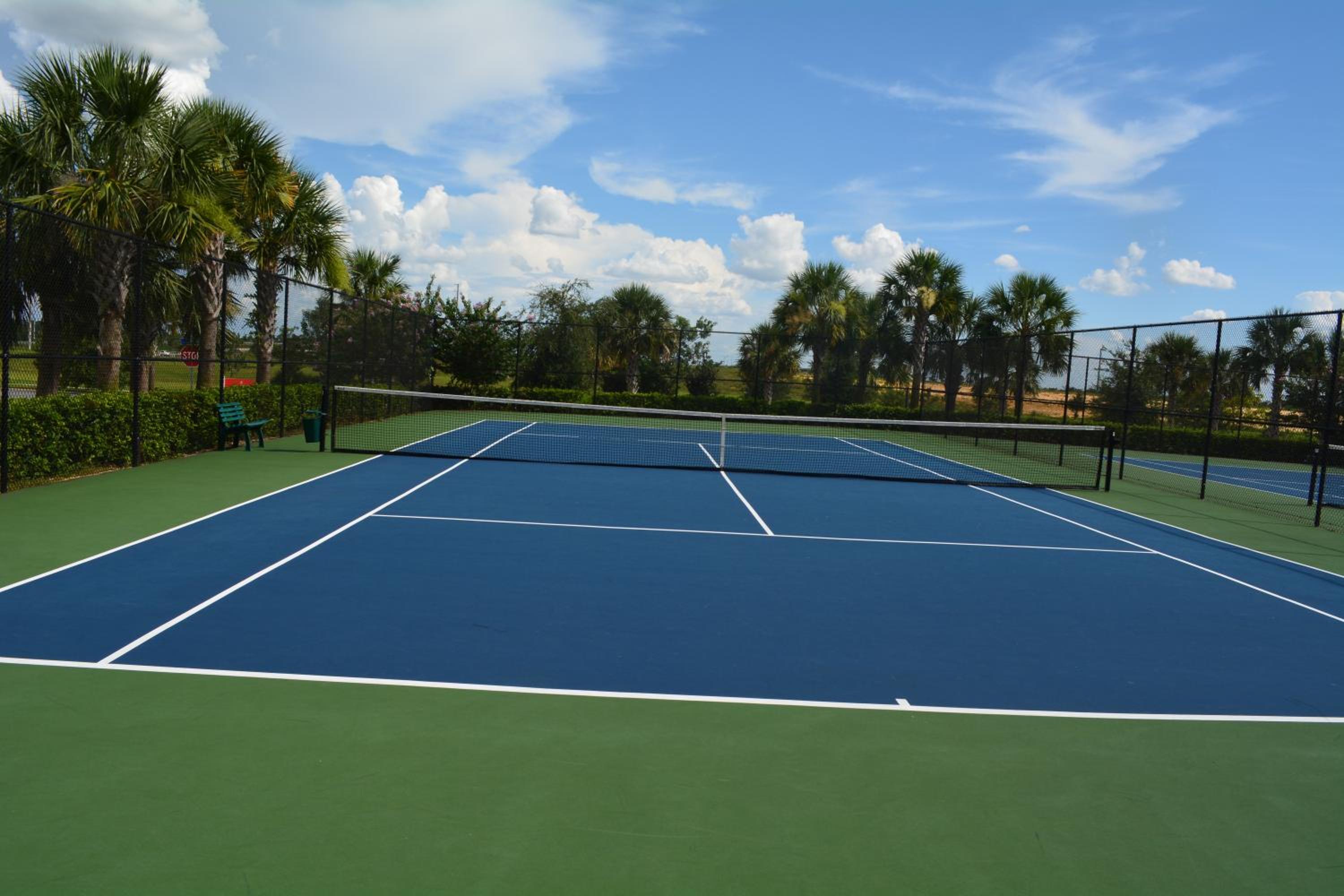 Disney Dreams Luxury Home with Private Water Park
