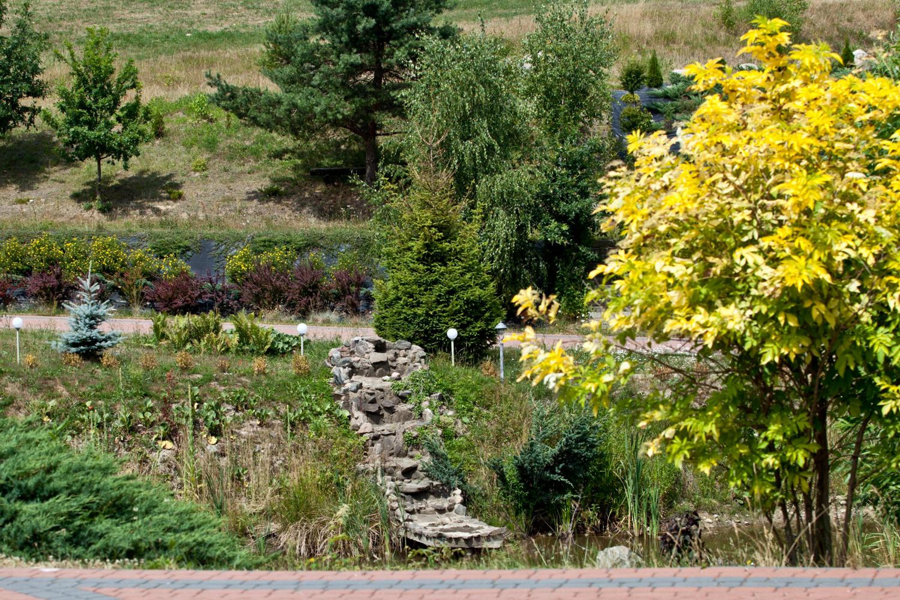Photo 40