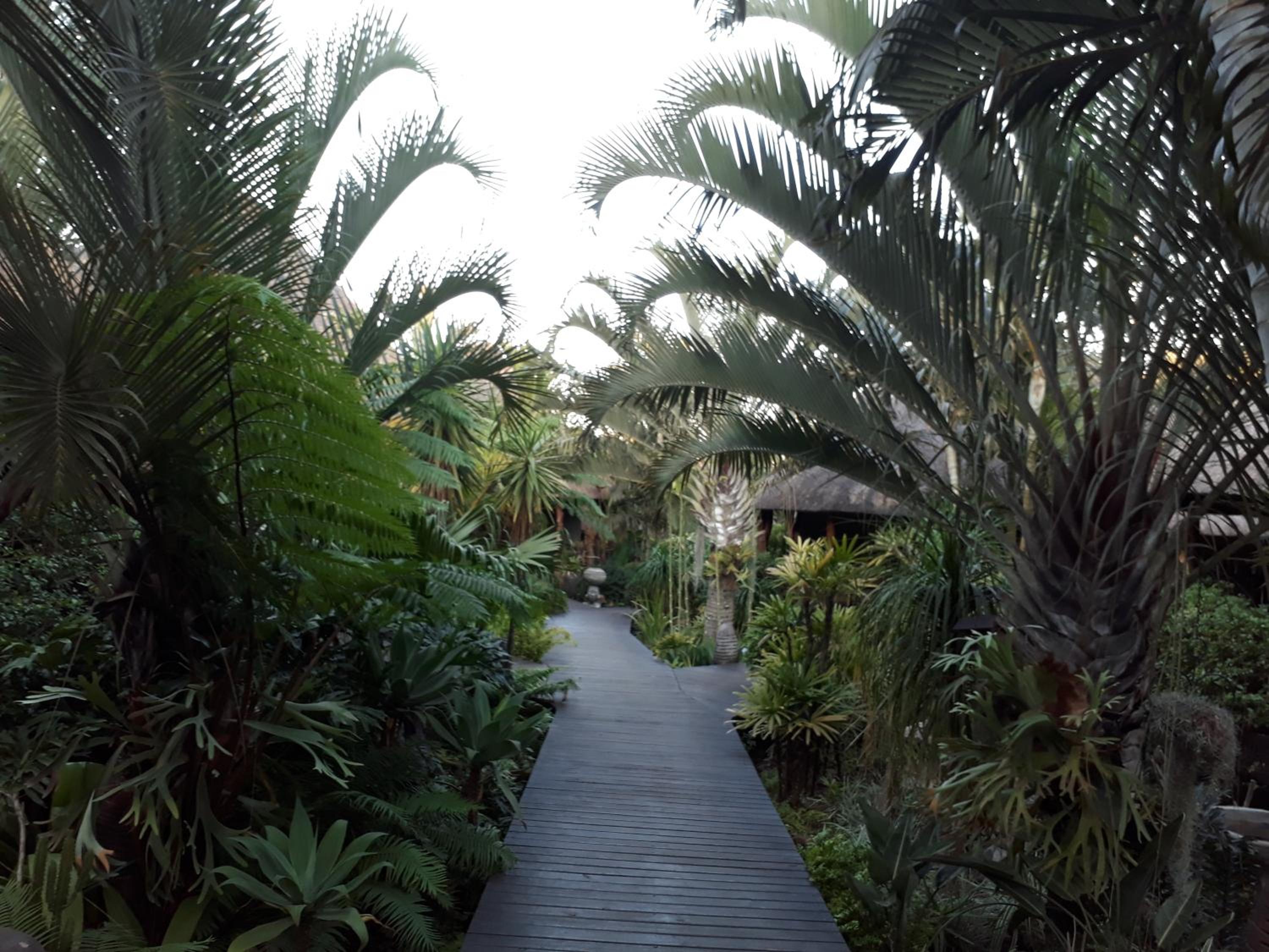 Lodge Afrique